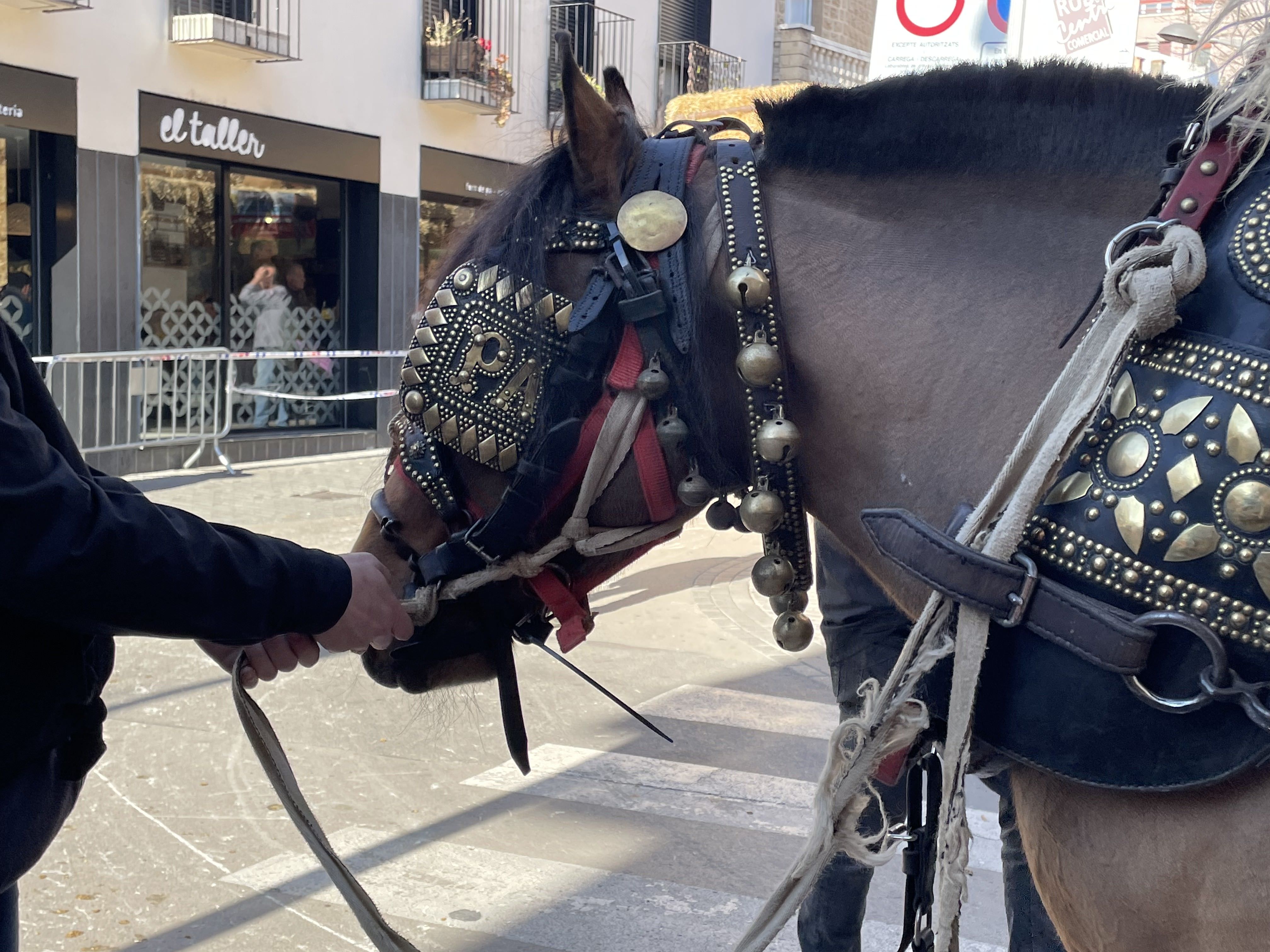 Sant Antoni Abat i la Rua dels Tres Tombs 2023. FOTO: Estela Luengo