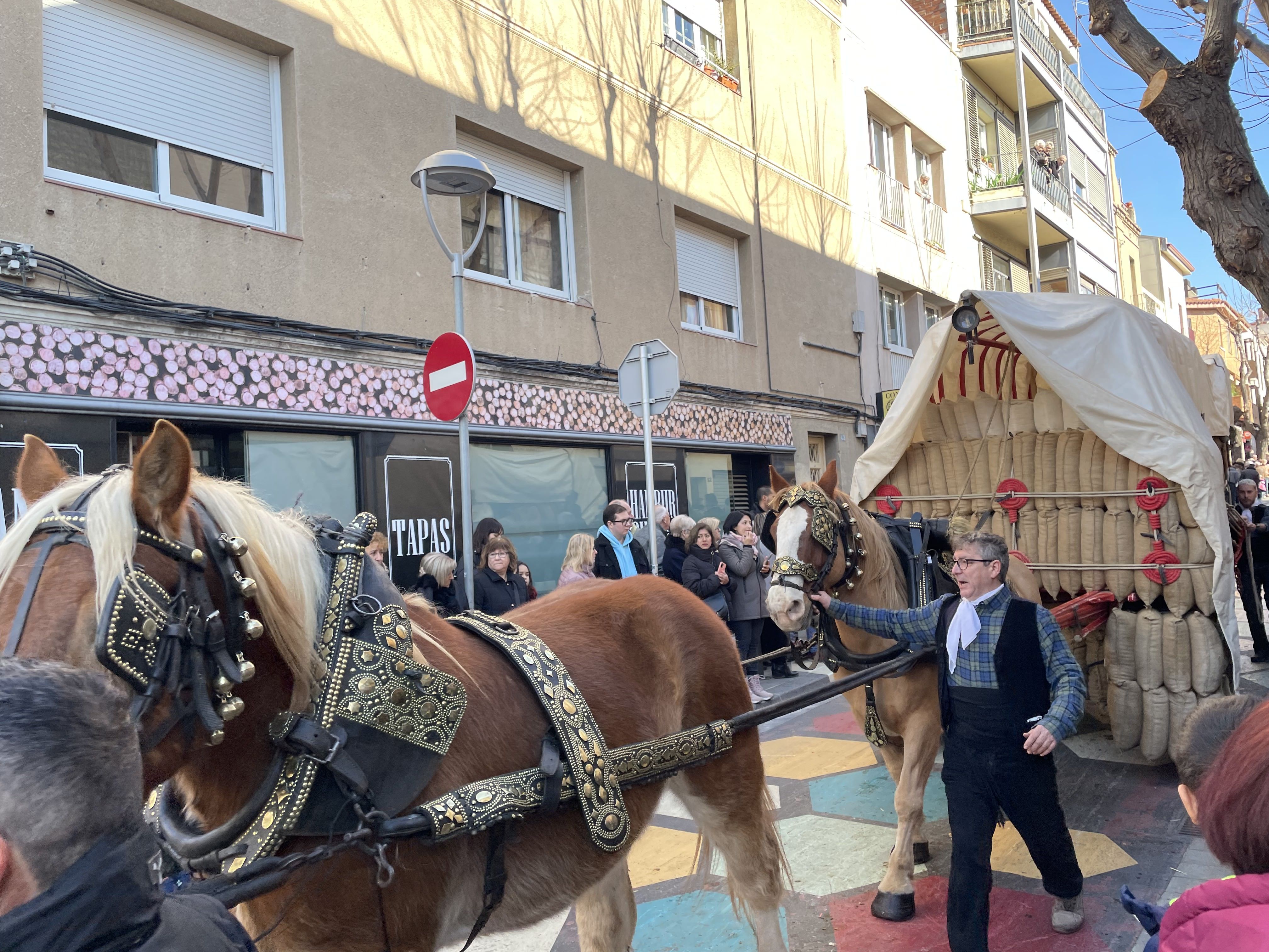 Sant Antoni Abat i la Rua dels Tres Tombs 2023. FOTO: Estela Luengo