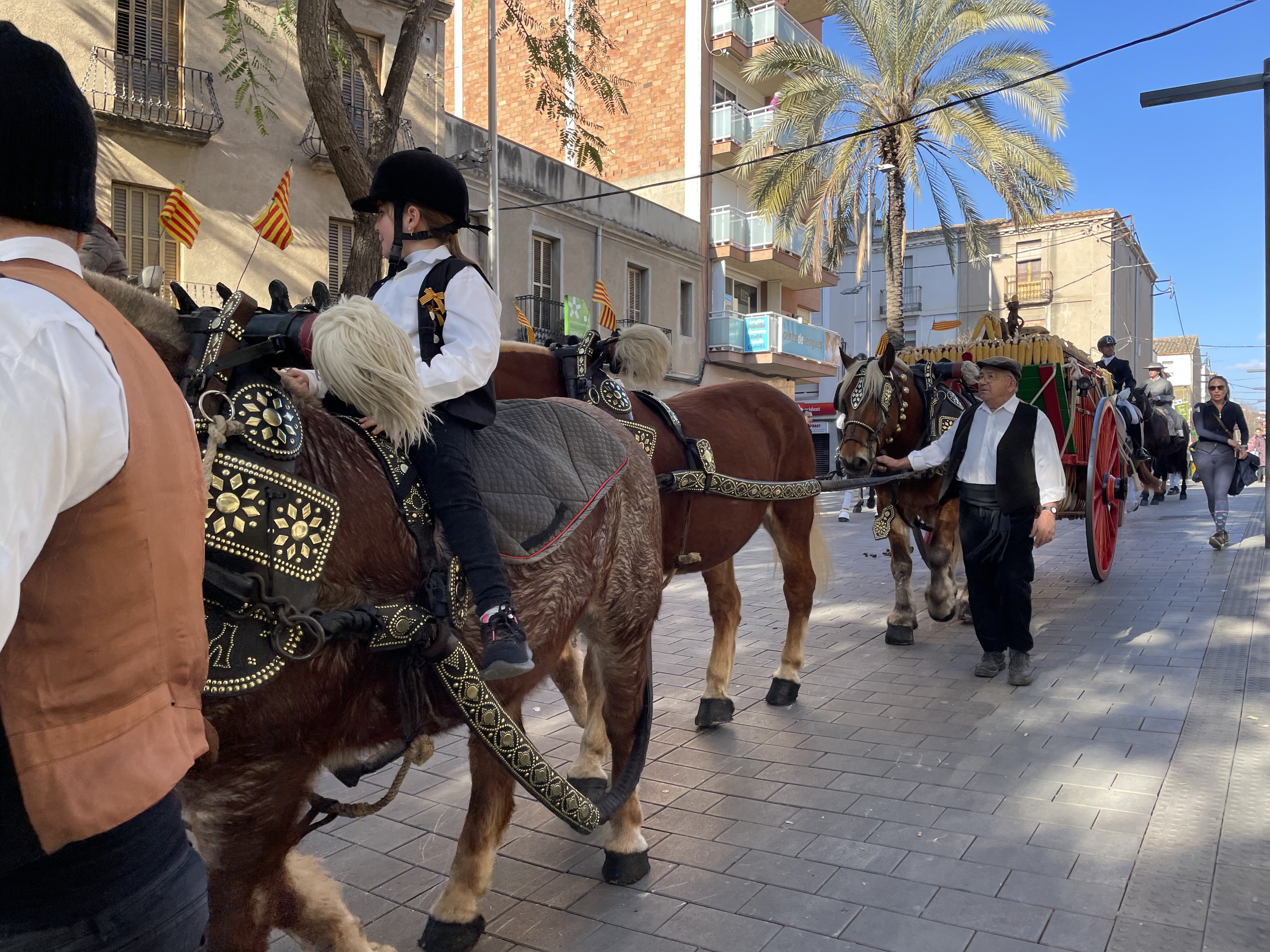 Sant Antoni Abat i la Rua dels Tres Tombs 2023. FOTO: Estela Luengo