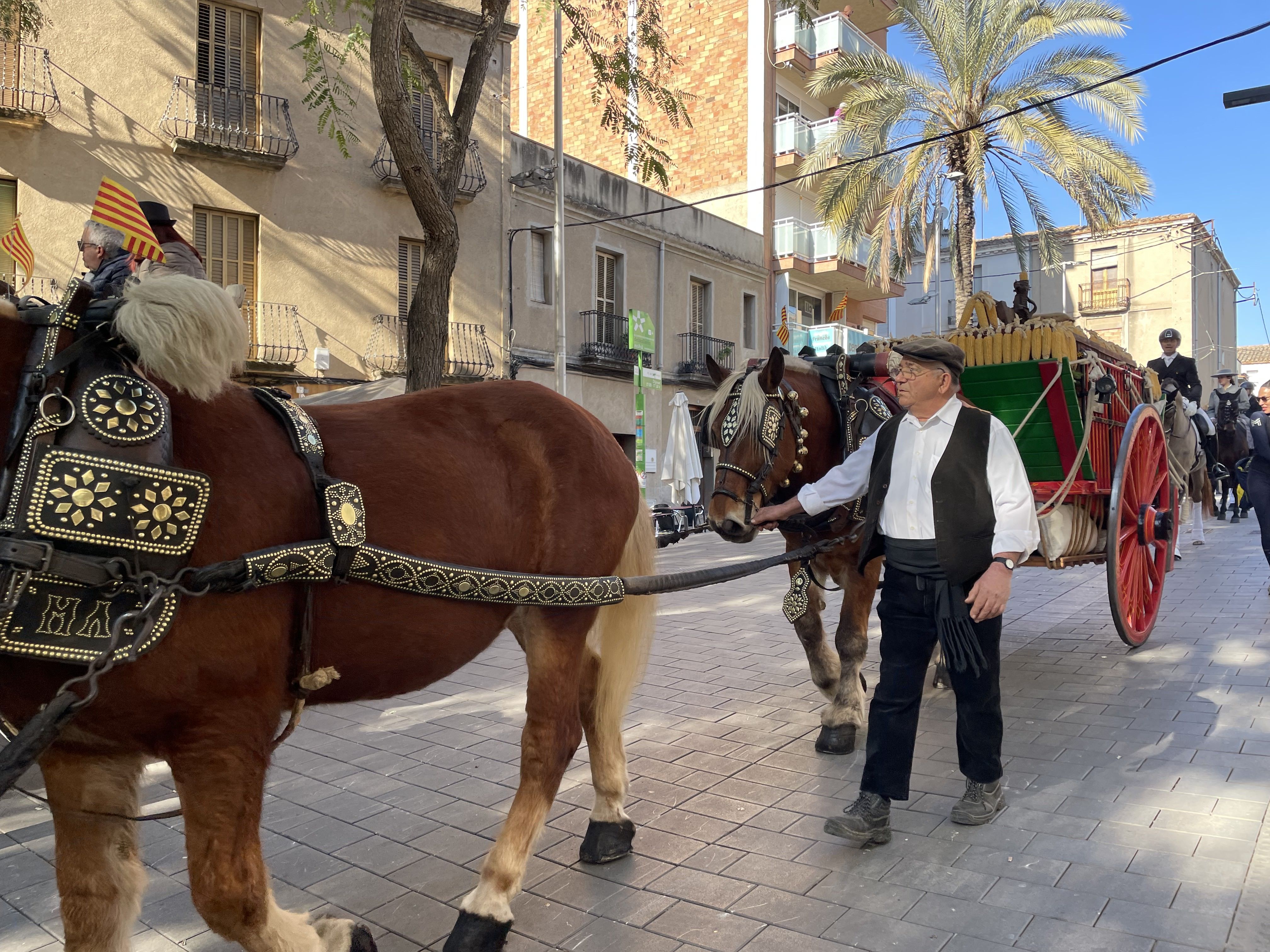 Sant Antoni Abat i la Rua dels Tres Tombs 2023. FOTO: Estela Luengo