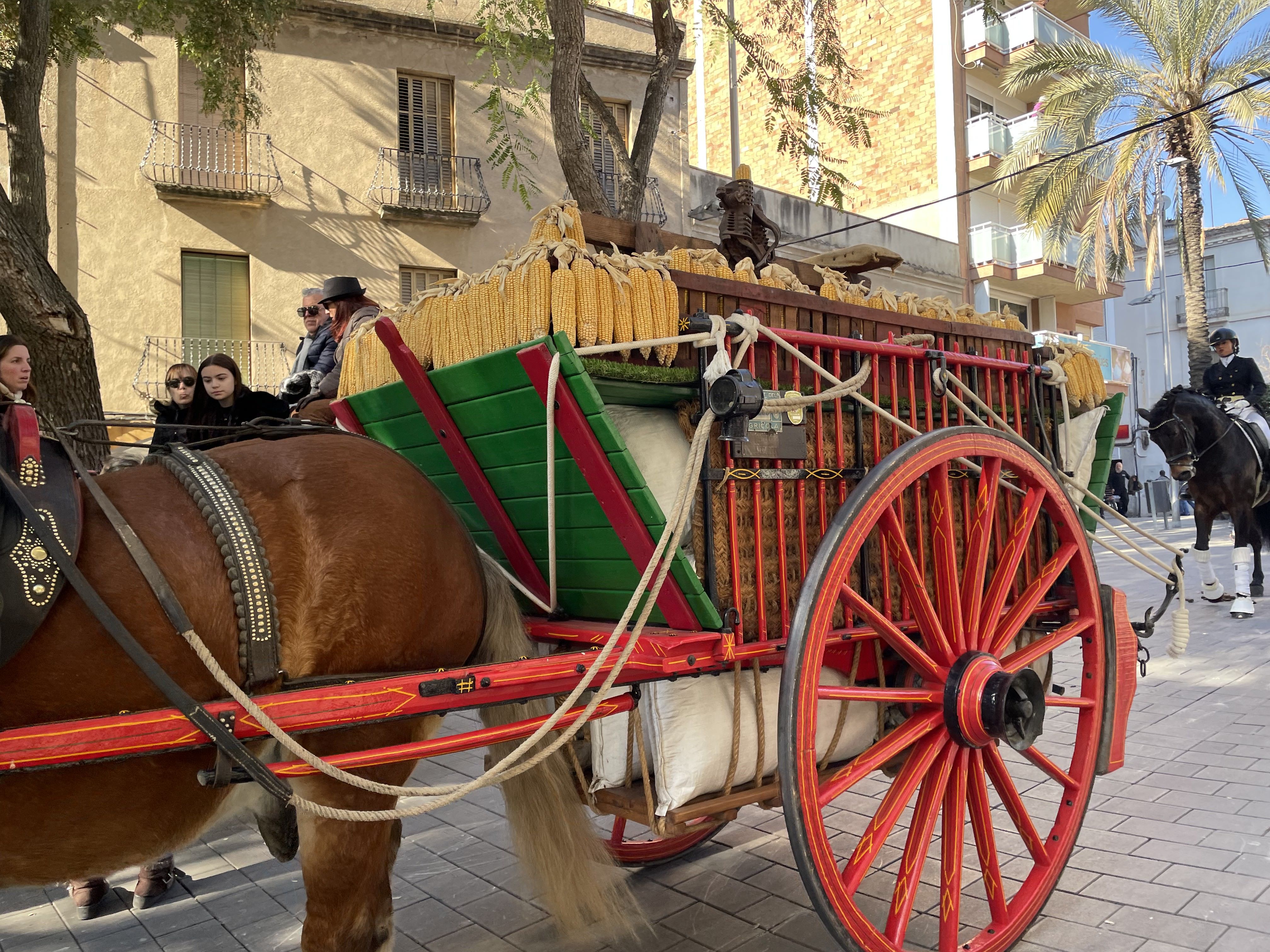 Sant Antoni Abat i la Rua dels Tres Tombs 2023. FOTO: Estela Luengo