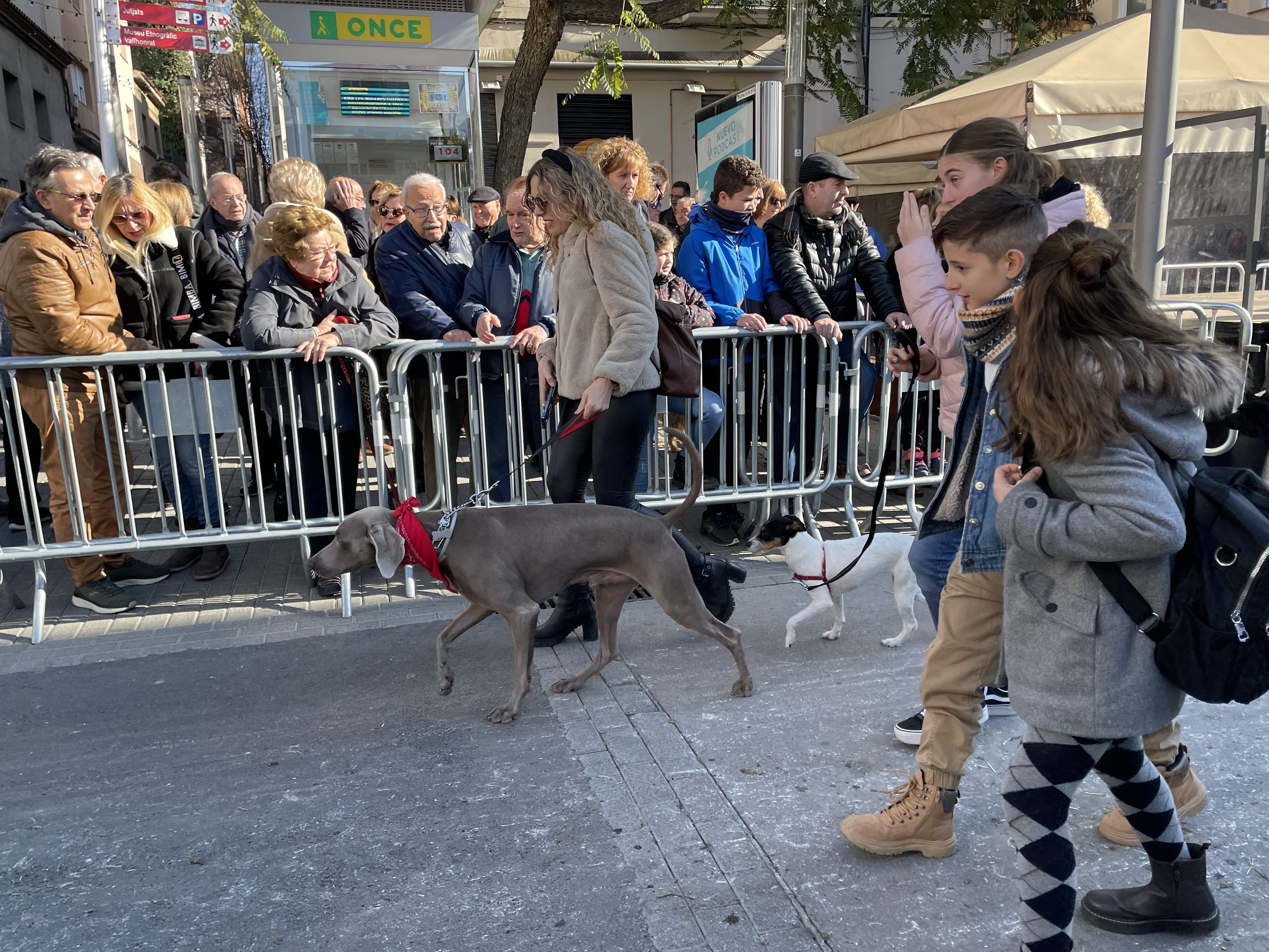 Sant Antoni Abat i la Rua dels Tres Tombs 2023. FOTO: Estela Luengo