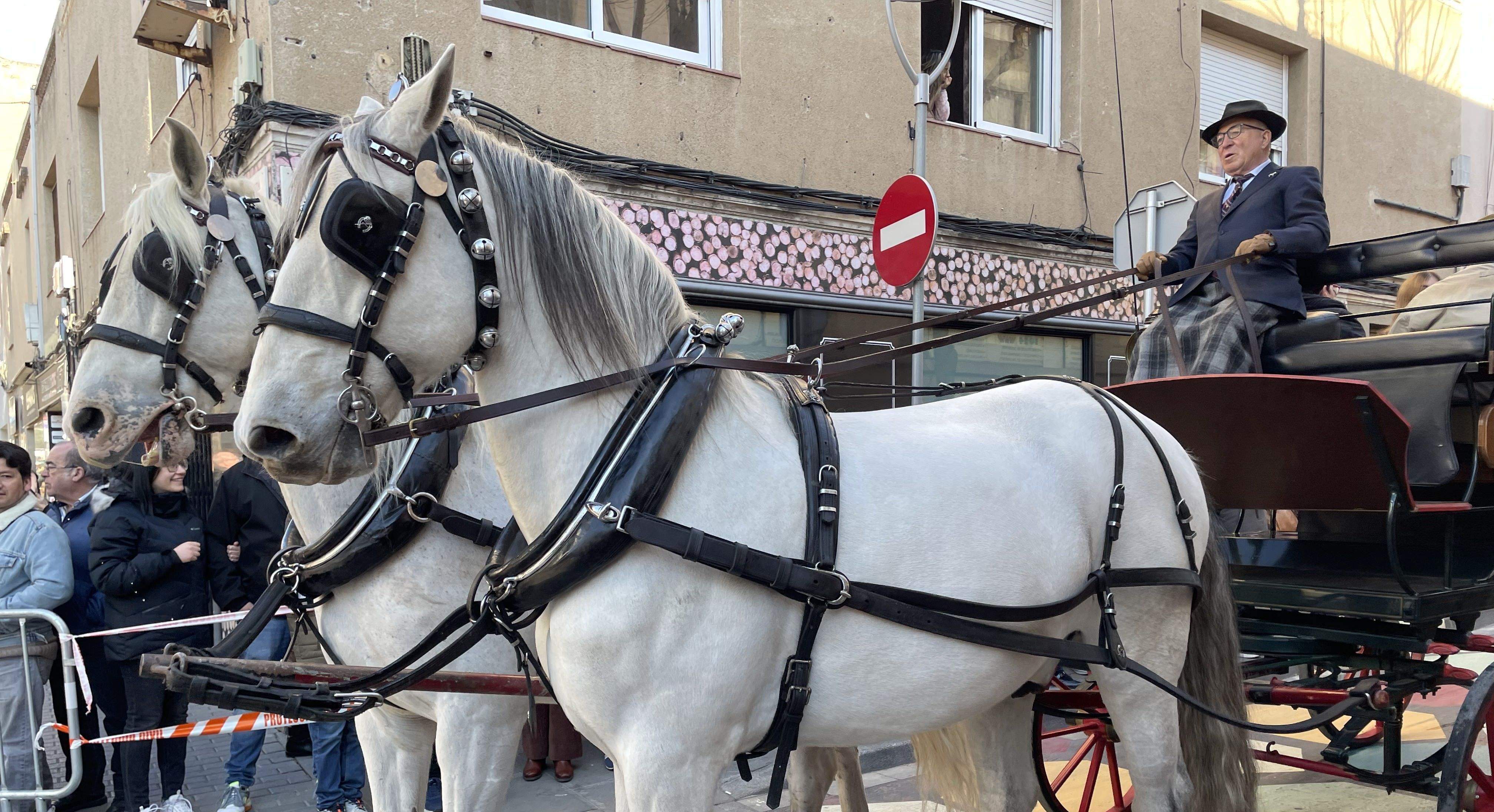 Sant Antoni Abat i la Rua dels Tres Tombs 2023. FOTO: Estela Luengo