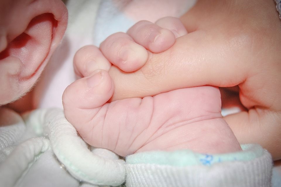 La natalitat continua en descens. FOTO: Pixabay La natalitat continua en descens. FOTO: Pixabay