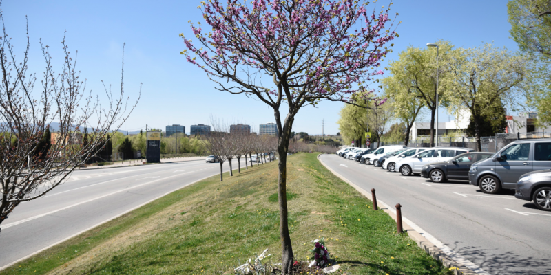 L'atropellament es va produir al carrer lateral de la carretera de Rubí FOTO: Bernat Millet L'atropellament es va produir al carrer lateral de la carretera de Rubí FOTO: Bernat Millet