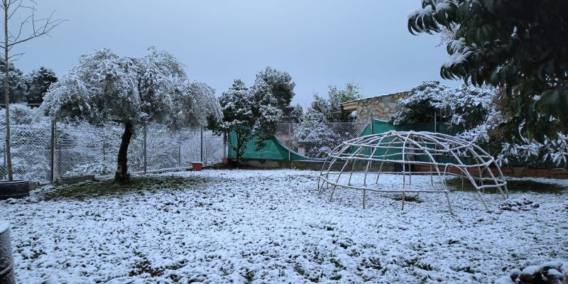 Neu a Castellnou. FOTO: Gemma Gracia