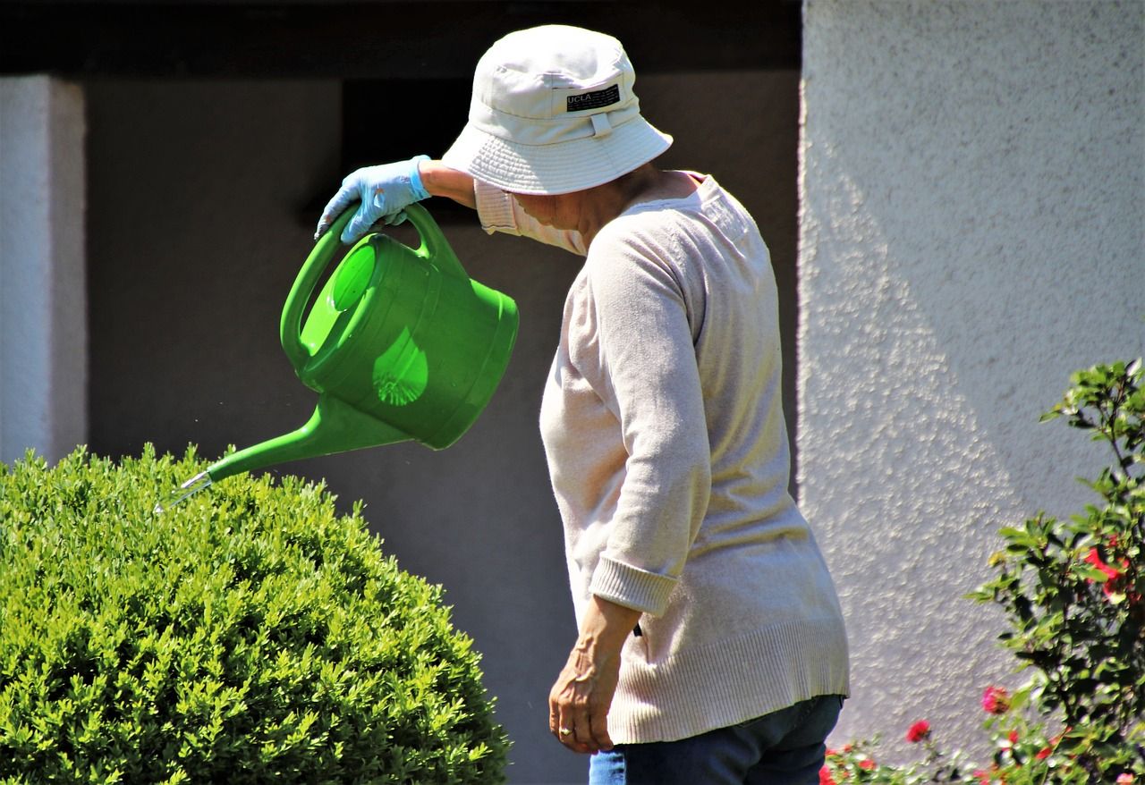 En estat d'excepcionalitat només es permet el reg de zones verdes, tant públiques com privades, amb regadora o gota a gota. FOTO: Pixabay En estat d'excepcionalitat només es permet el reg de zones verdes, tant públiques com privades, amb regadora o gota a gota. FOTO: Pixabay