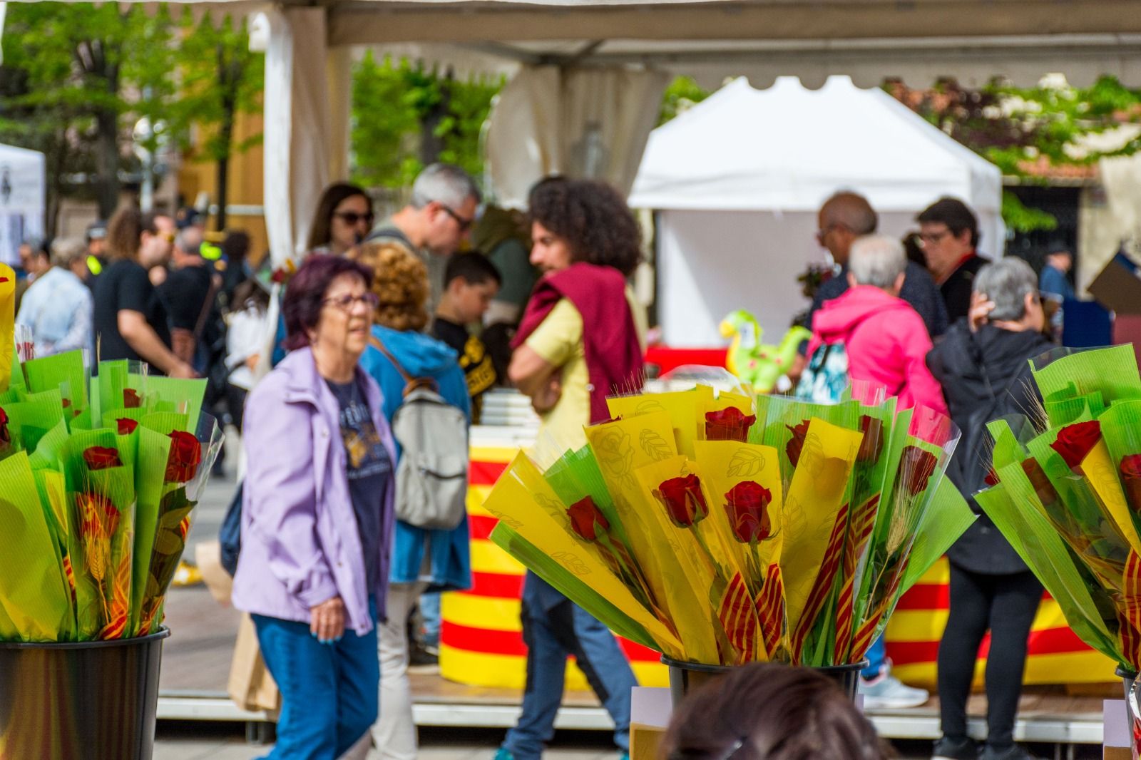 Els rubinencs i rubinenques van poder gaudir de la diada de Sant Jordi. FOTO: CARMELO