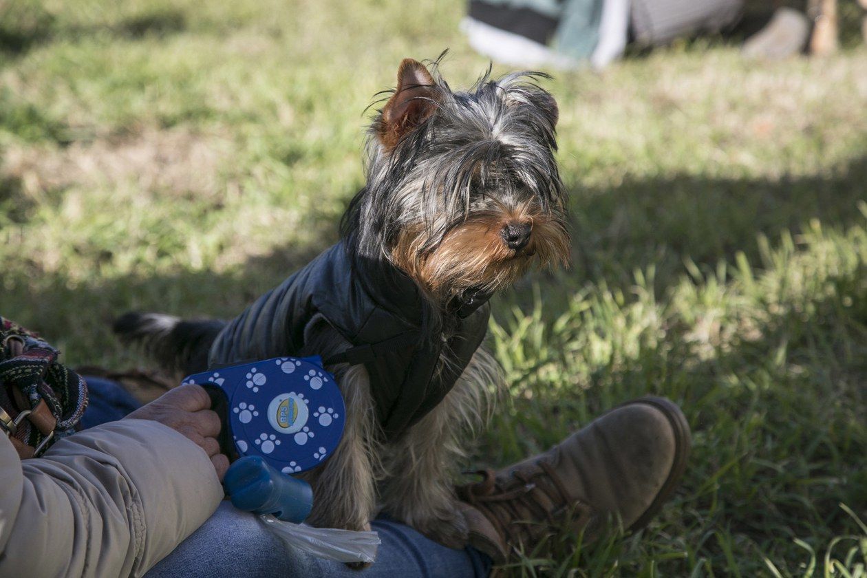 Rubí reprèn la campanya de civisme "Rubí, ciutat neta". FOTO: Ajuntament de Rubí
