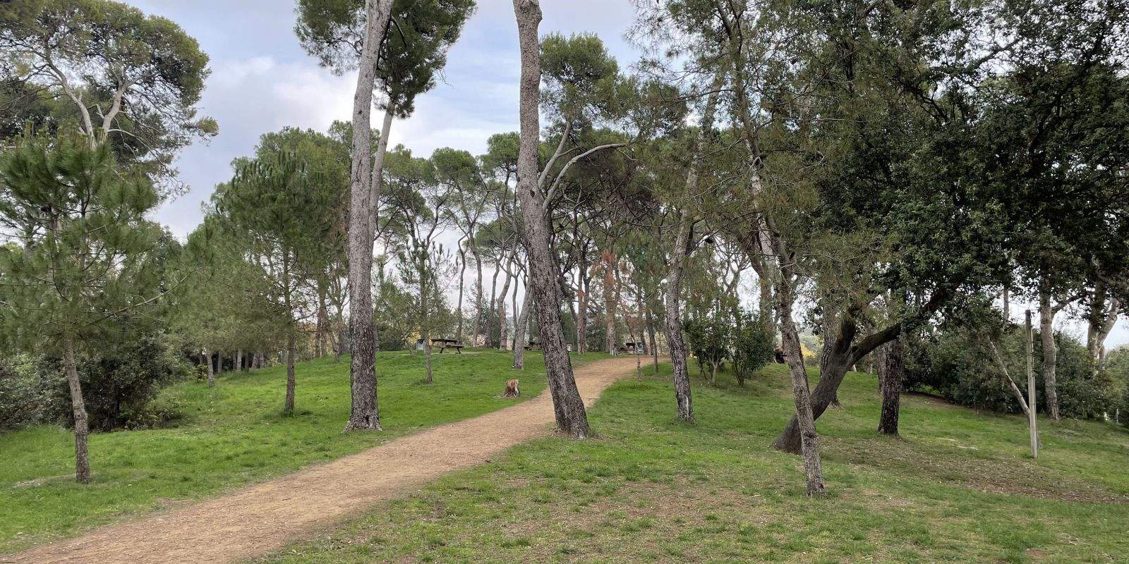 Rubí és un dels municipis que rebrà finançament per tal de fer front al risc de foc als boscos i zones de camp. FOTO: NHS