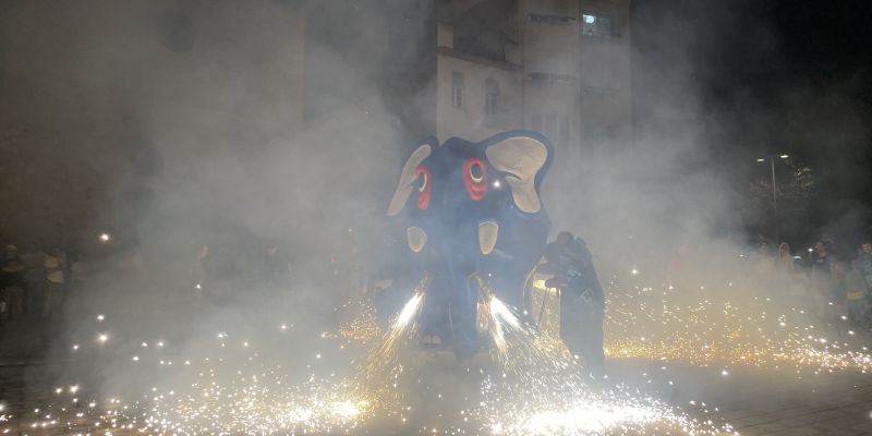 Correfoc dels Tocs de Sant Roc de 2022. Foto: Arnau Martínez | Arxiu