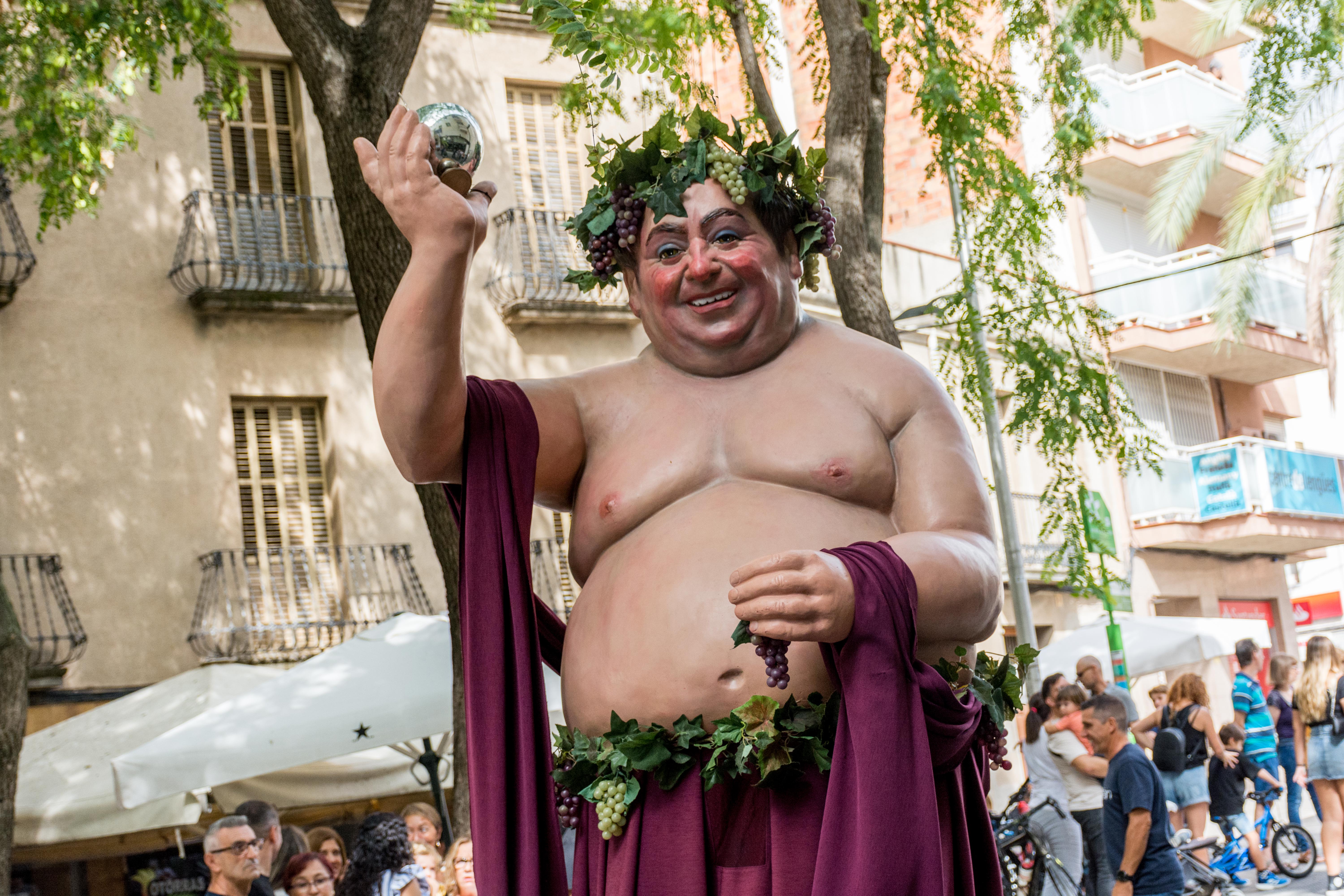 30a Trobada de Gegants durant els 'Tocs de Sant Roc' 2023. FOTO: Carmelo Jiménez