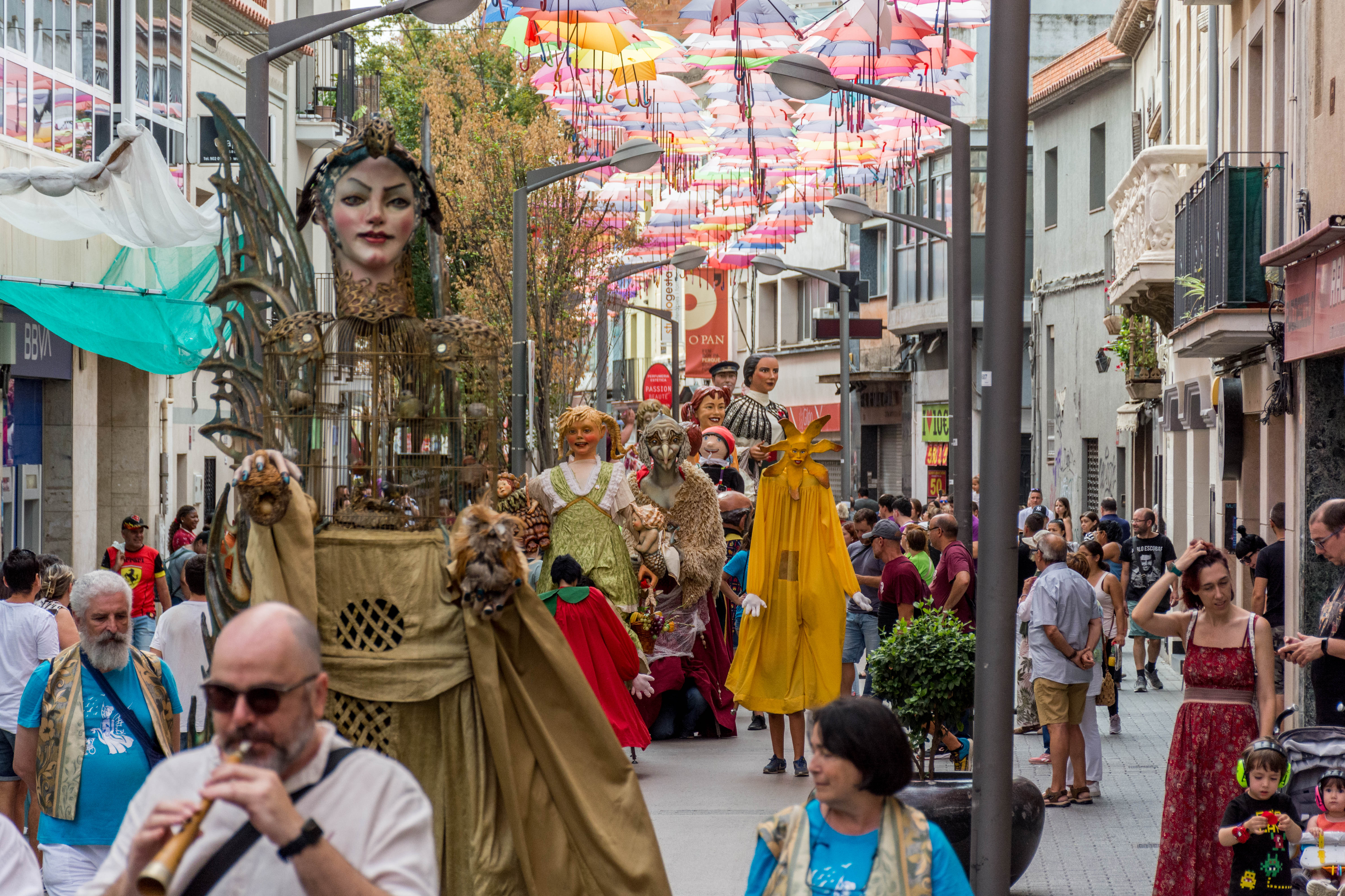 30a Trobada de Gegants durant els 'Tocs de Sant Roc' 2023. FOTO: Carmelo Jiménez