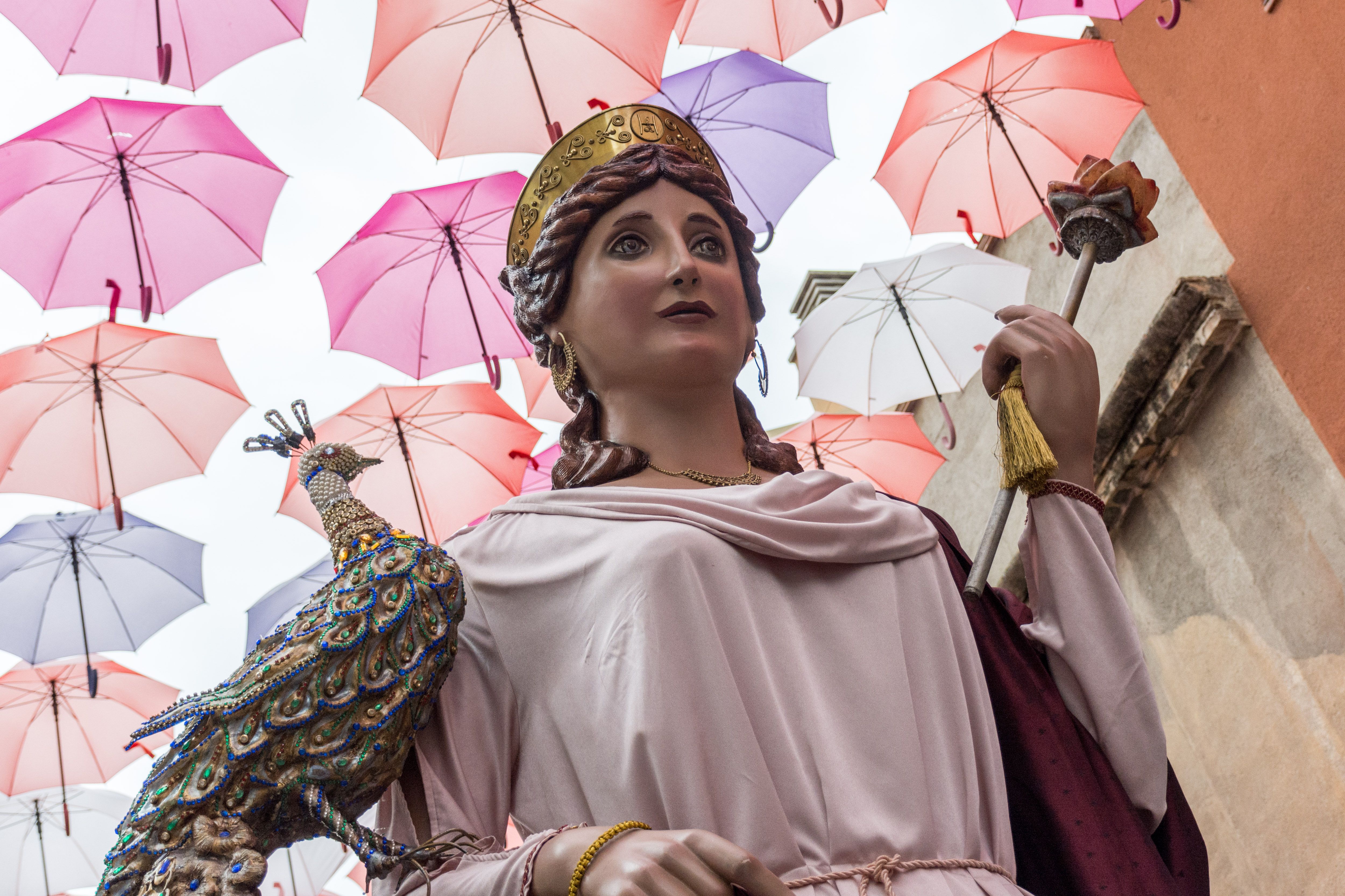 30a Trobada de Gegants durant els 'Tocs de Sant Roc' 2023. FOTO: Carmelo Jiménez