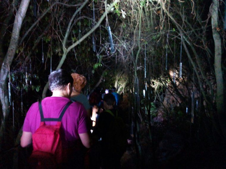 La caminada tindrà lloc el 7 d'octubre al polígon de La Llana. Foto: Arxiu | Cedida