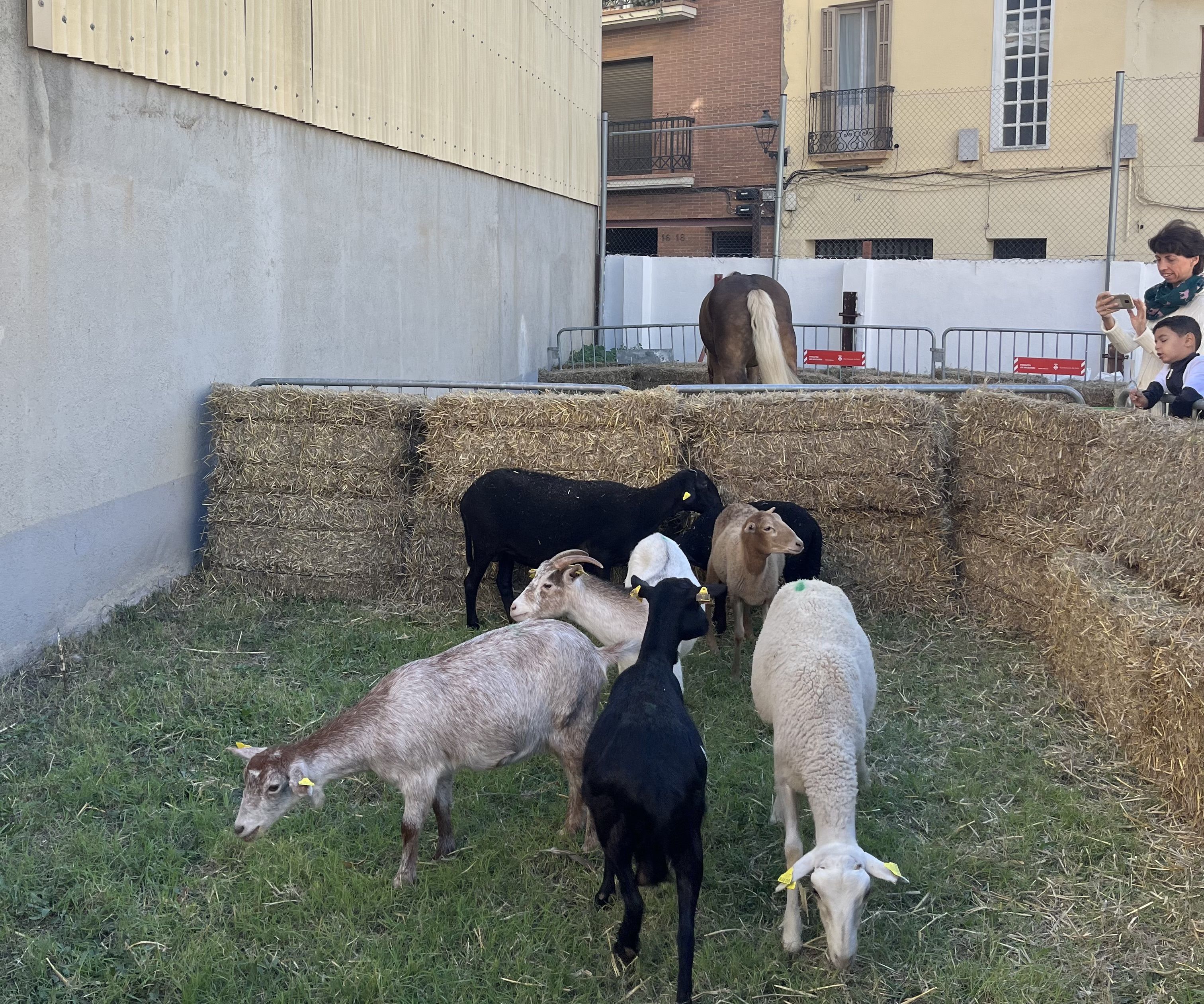 Els més petits han gaudit de l'Espai Granja. Foto: Redacció