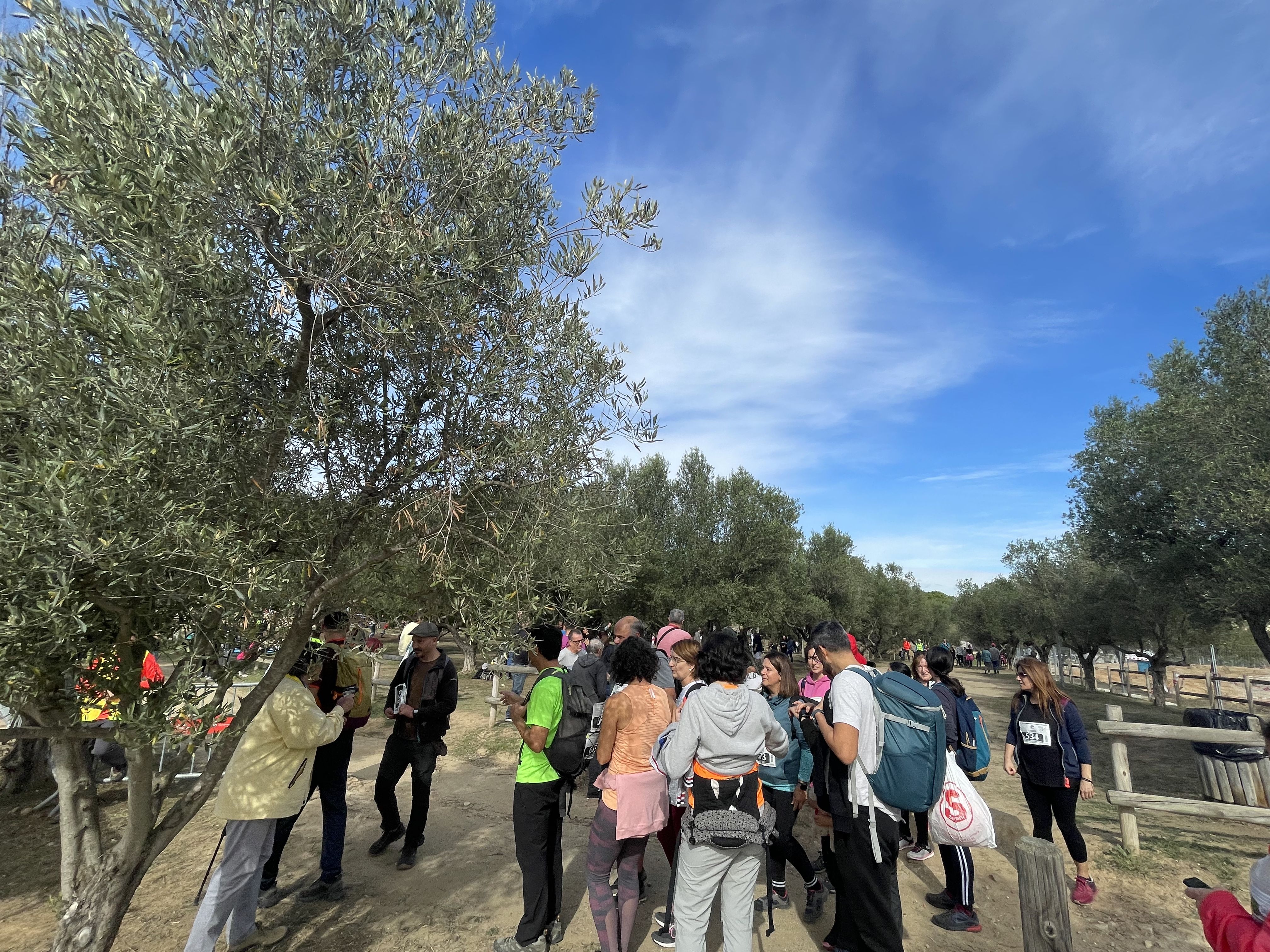 A aquesta edició també ha tornat la Marxa d'Adults. Foto: Redacció