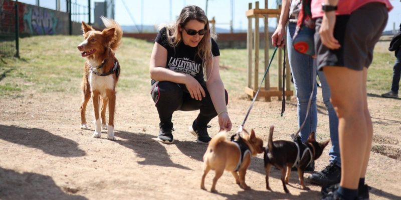 En aquest espai, es debat i s'aborda les qüestions relacionades amb la tinença d'animals de companyia. Foto: Ajuntament de Rubí-Localpres