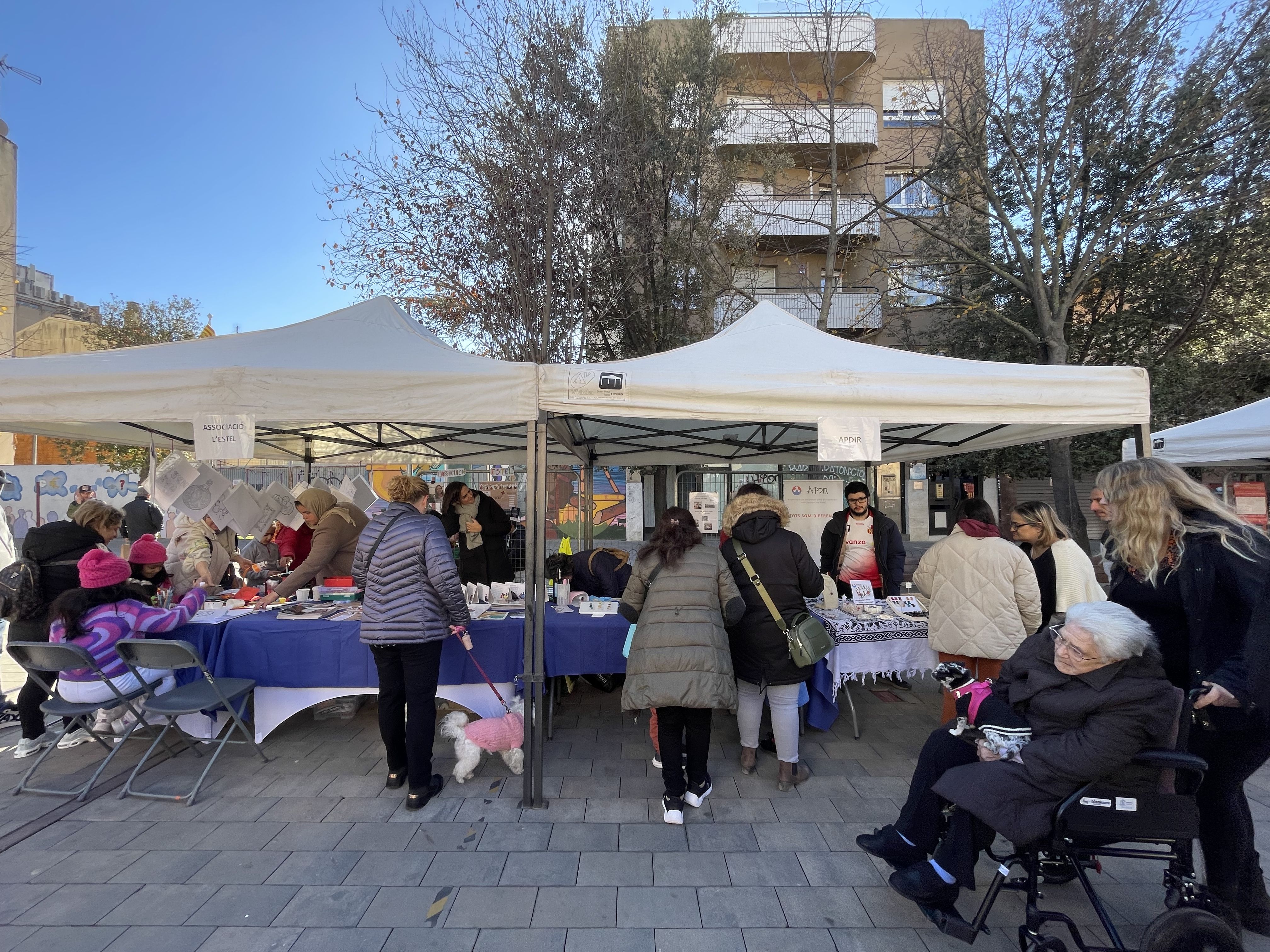 Dia Intenacional de les persones amb diversitat funcional a Rubí 2023. FOTO: Estela Luengo