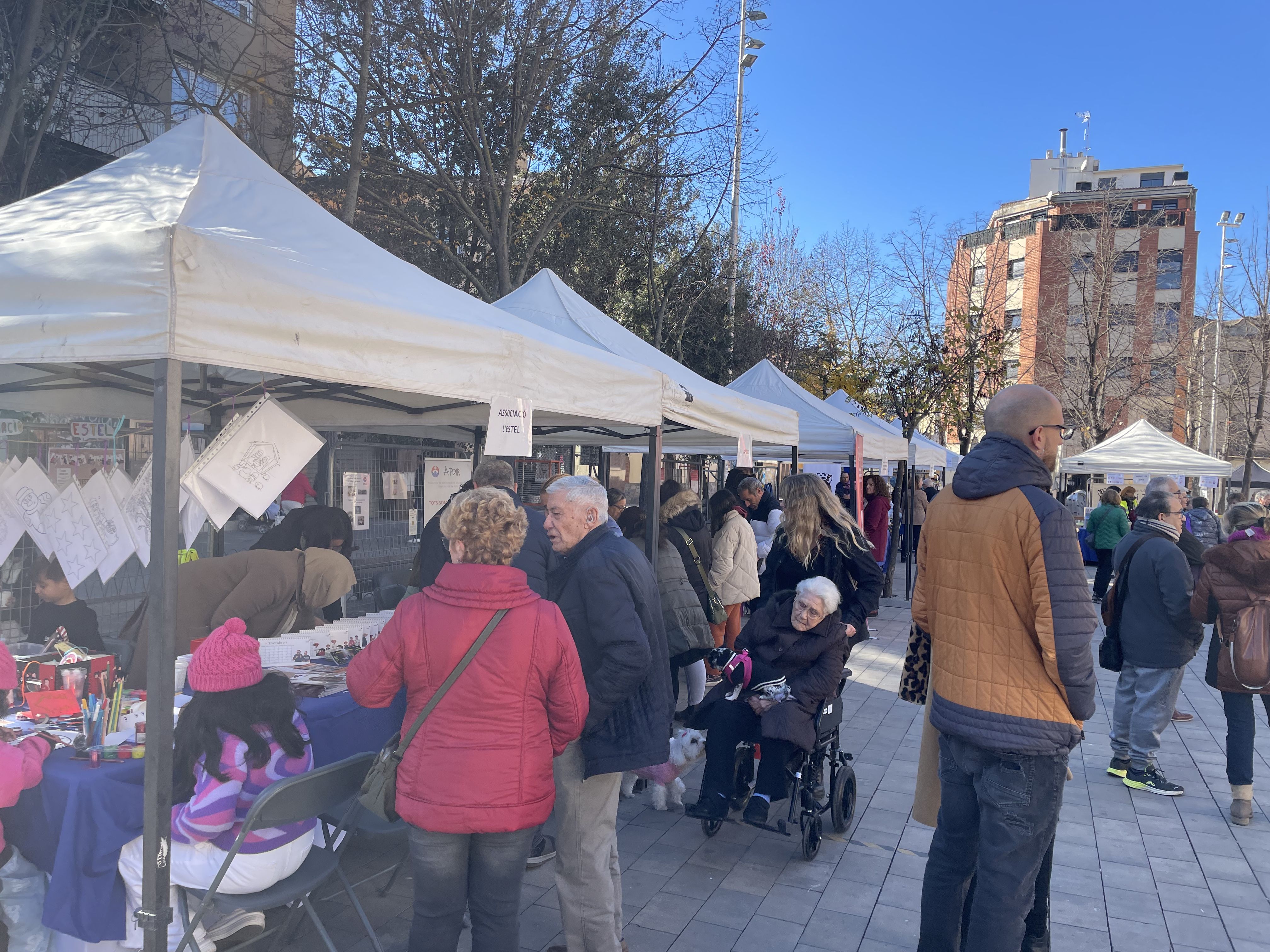 Dia Intenacional de les persones amb diversitat funcional a Rubí 2023. FOTO: Estela Luengo