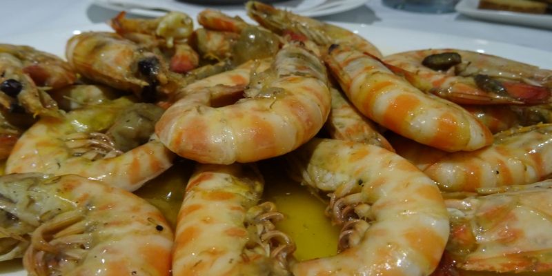 A Catalunya hi ha més de 50 espècies de peixos que es poden cuinar de manera molt fàcil i que són deliciosos. FOTO: Departament d’Acció Climàtica, Alimentació i Agenda Rural