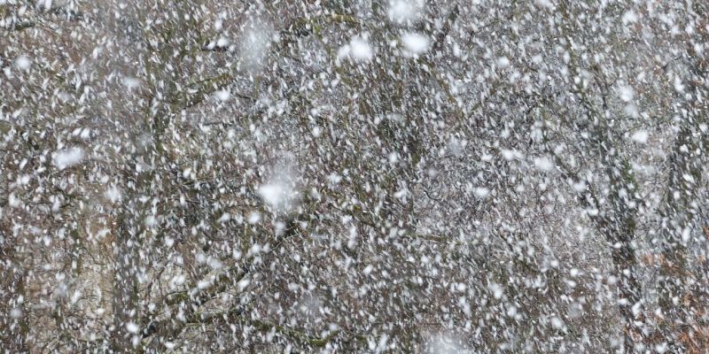 Els serveis d'emergència els buscaven des de feia dies, quan es van perdre en una tempesta de neu. Foto: Pixabay Els serveis d'emergència els buscaven des de feia dies, quan es van perdre en una tempesta de neu. Foto: Pixabay