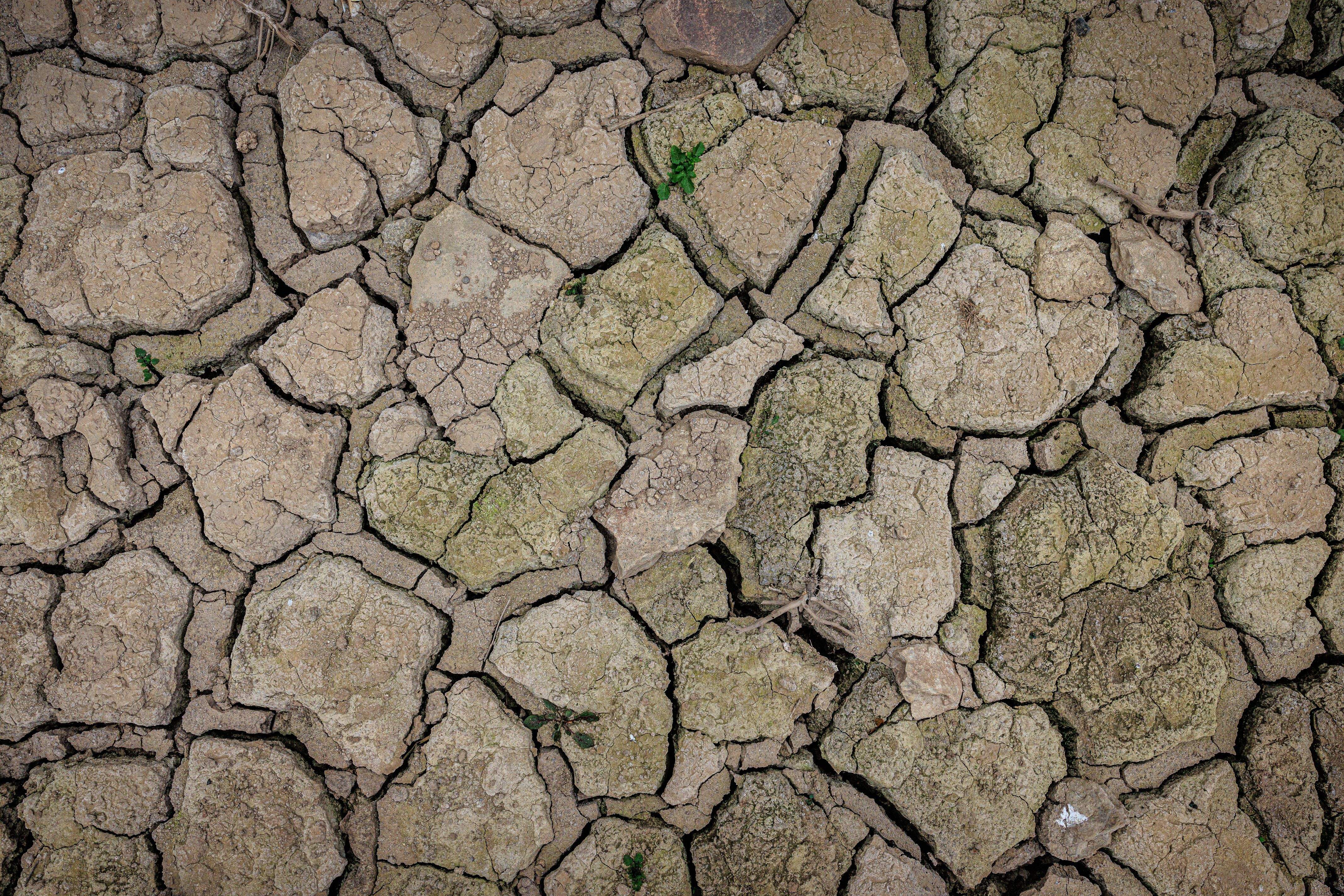L'any 2023 ha estat el segon més càlid i dels més secs a Catalunya. FOTO: ACN/Jordi Borràs