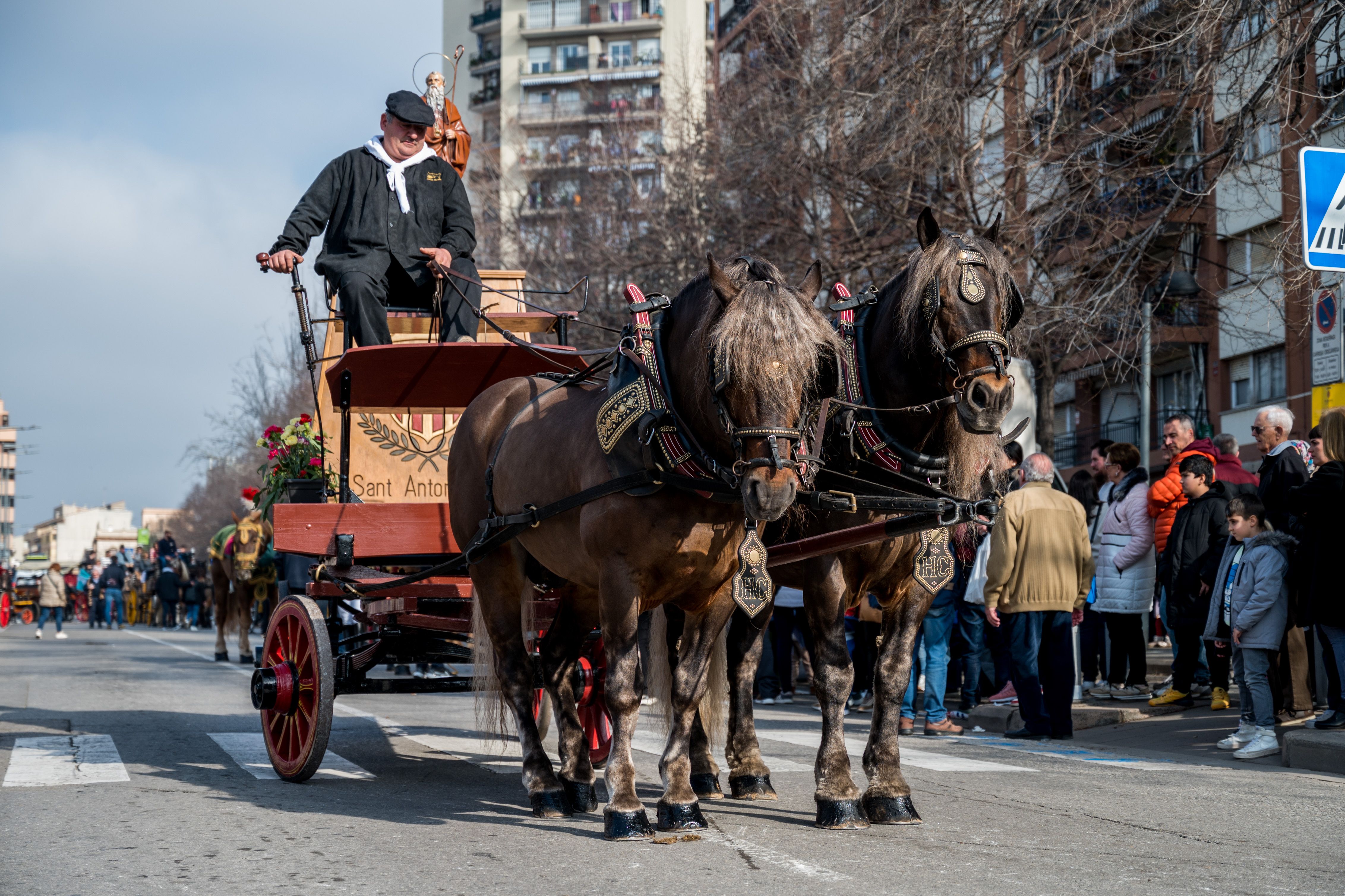 Cavalls i carruatges han sortit pel centre de la ciutat. Foto: Carmelo Jiménez