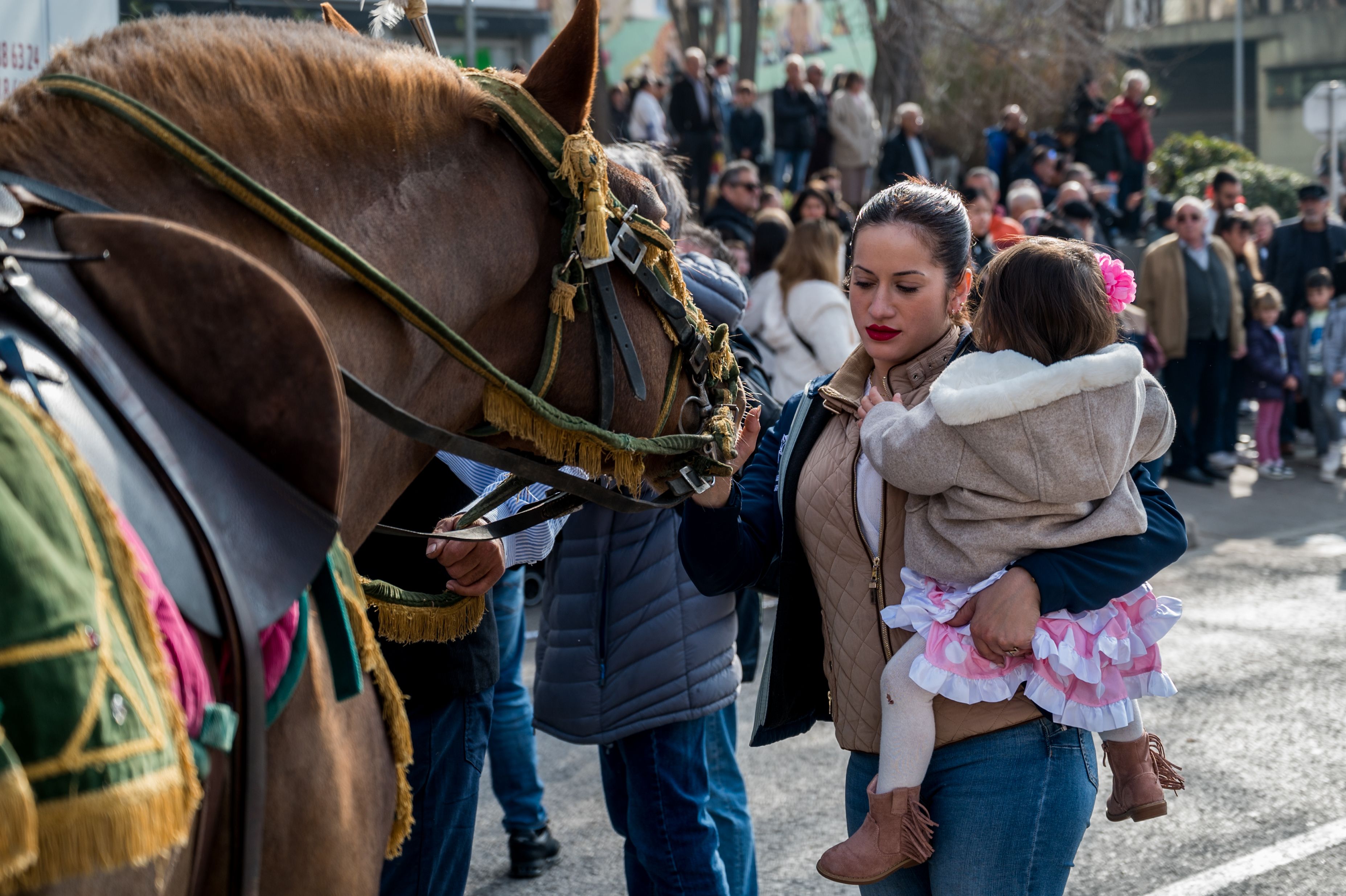 Cavalls i carruatges han sortit pel centre de la ciutat. Foto: Carmelo Jiménez