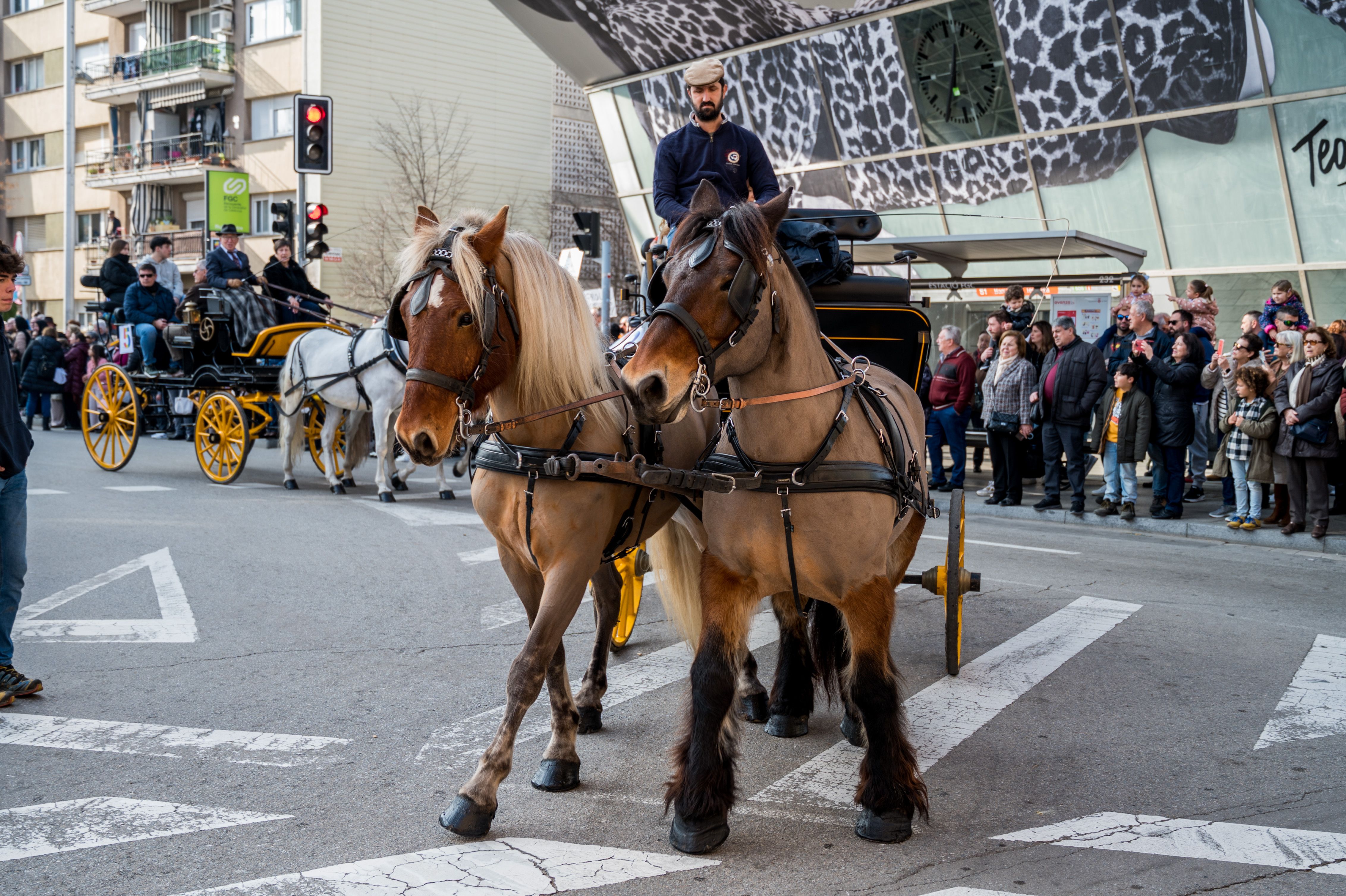 Rubí torna a recordar el seu passat agrícola gràcies als Tres Tombs. Foto: Carmelo Jiménez