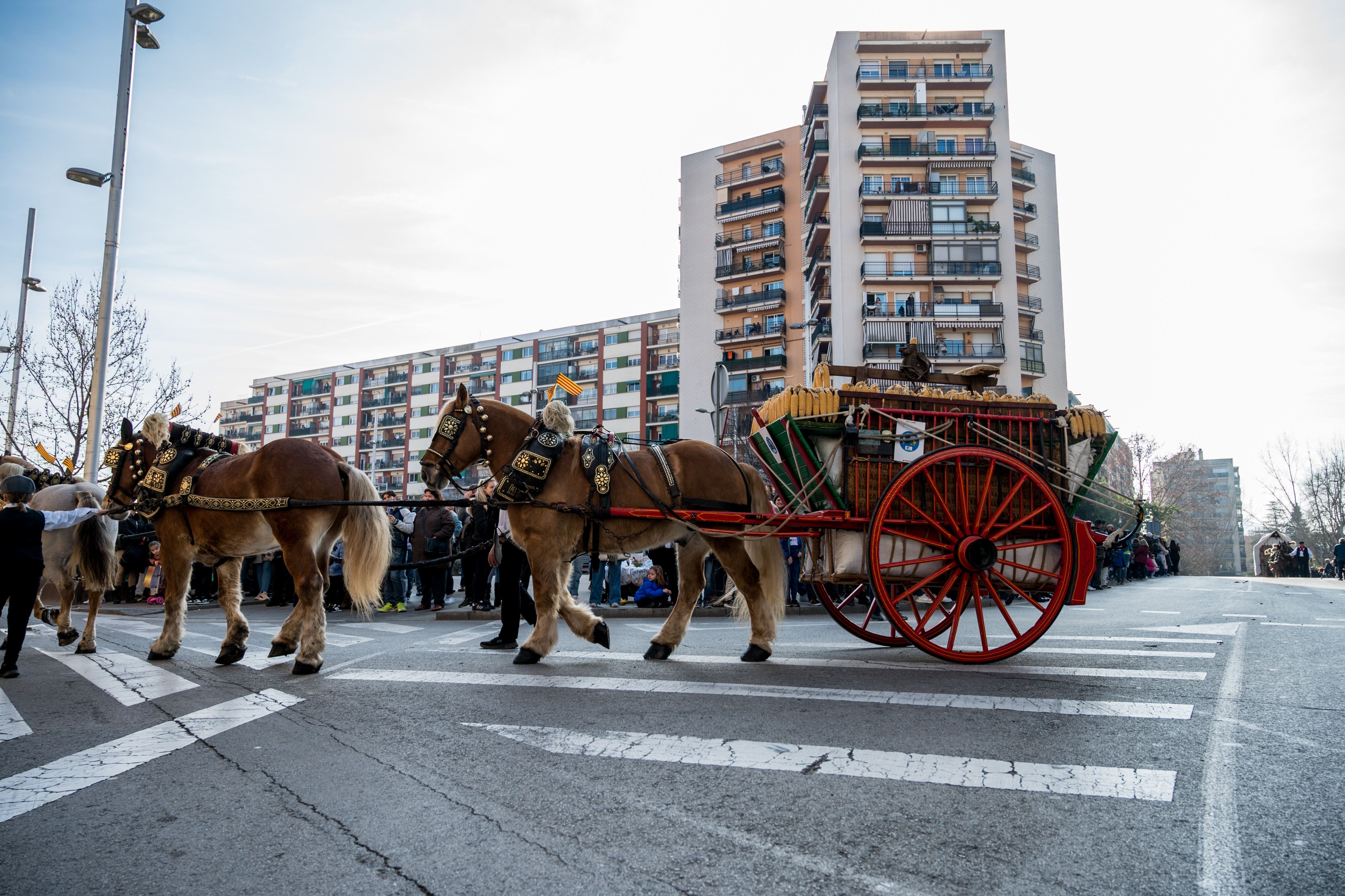 Més d'una desena de carruatges han protagonitzat la rua de 2024. Foto: Carmelo Jiménez