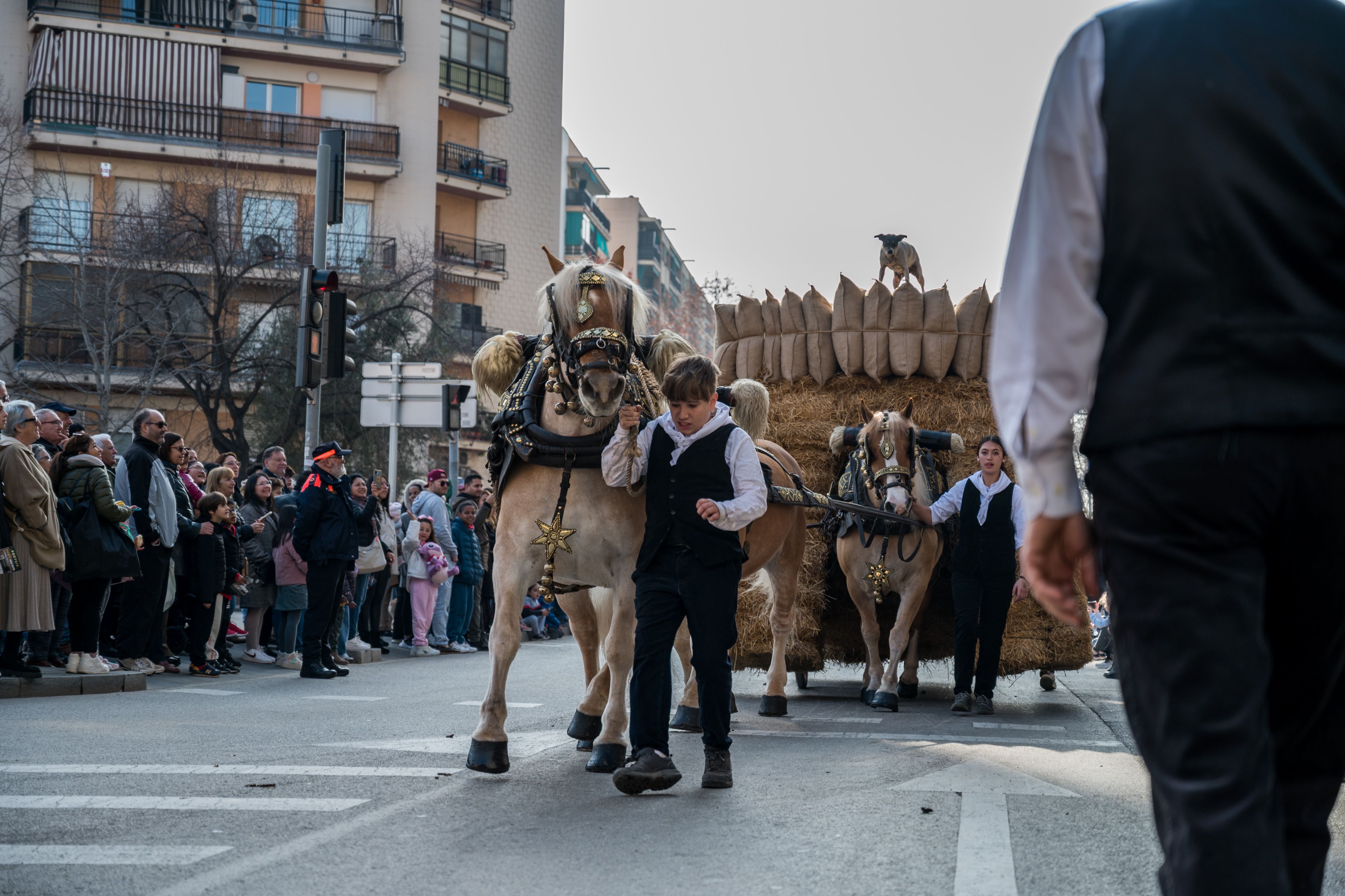 Més d'una desena de carruatges han protagonitzat la rua de 2024. Foto: Carmelo Jiménez