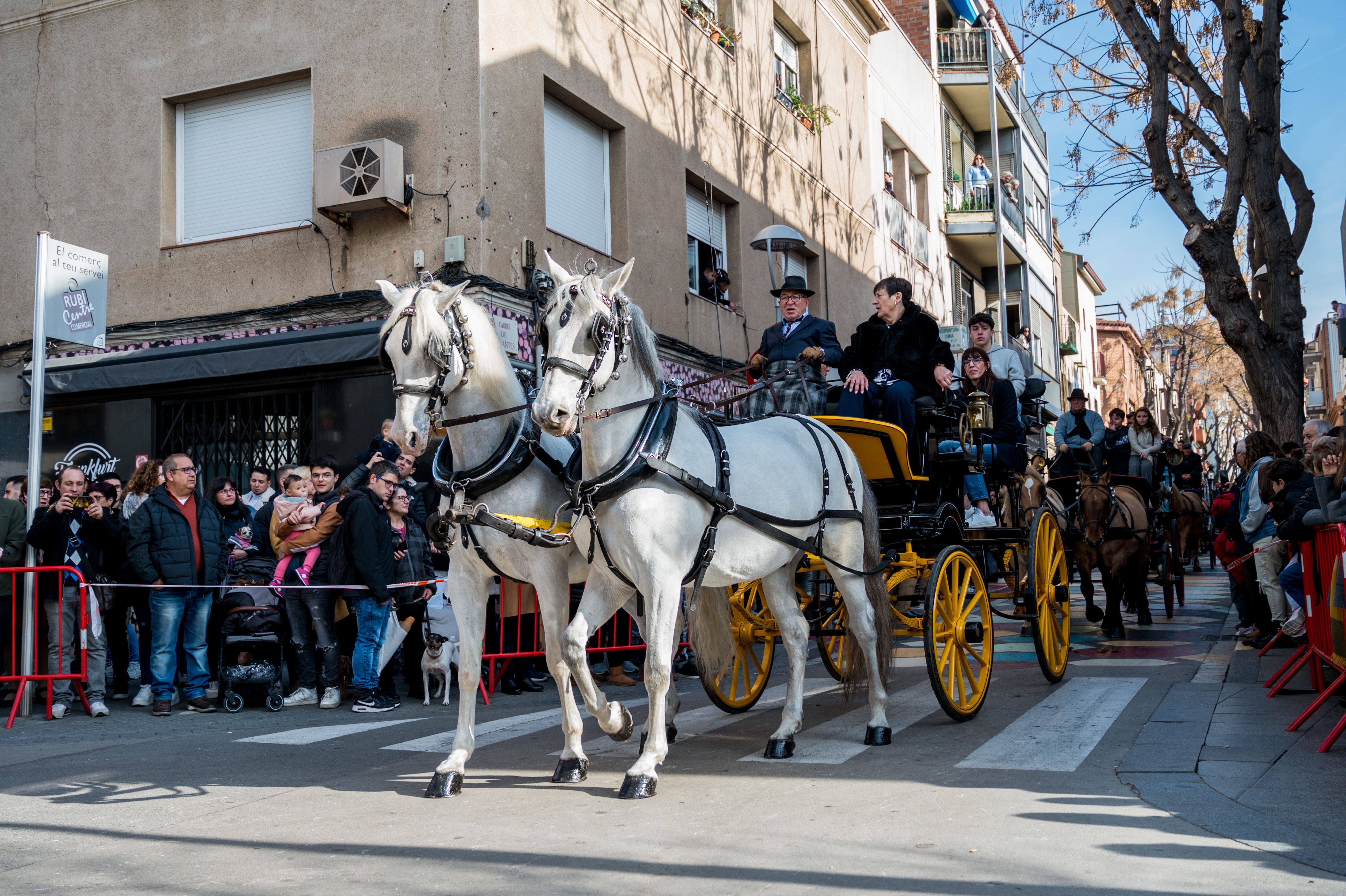 La festivitat de Sant Antoni Abat ha congregat a un gran nombre d'assistents. Foto: Carmelo Jiménez