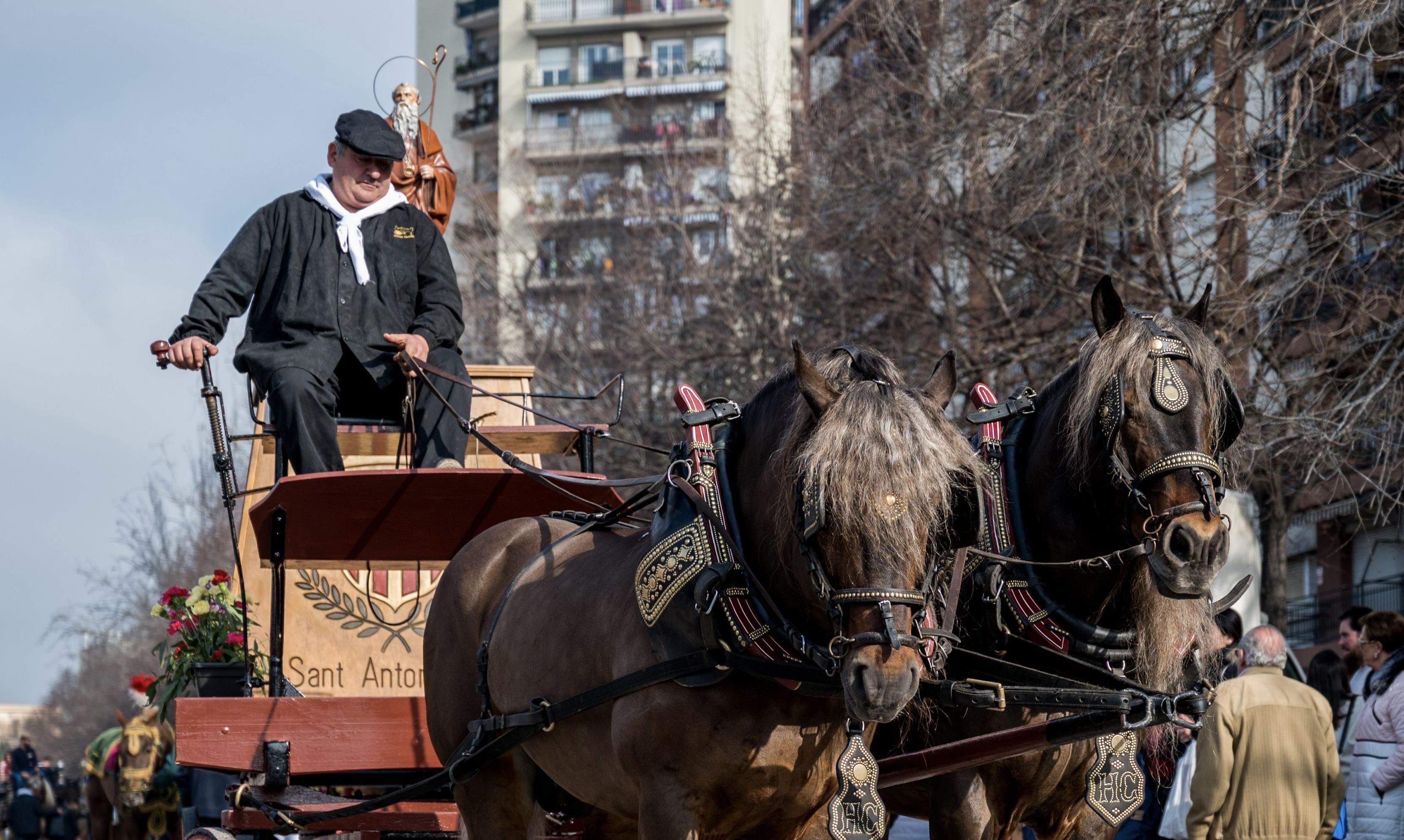 Una imatge de la 167a edició de la Rua de Sant Antoni Abat FOTO: Carmelo Jiménez