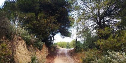 Camí de Can Guilera. Foto: Redacció | Arxiu Camí de Can Guilera. Foto: Redacció | Arxiu
