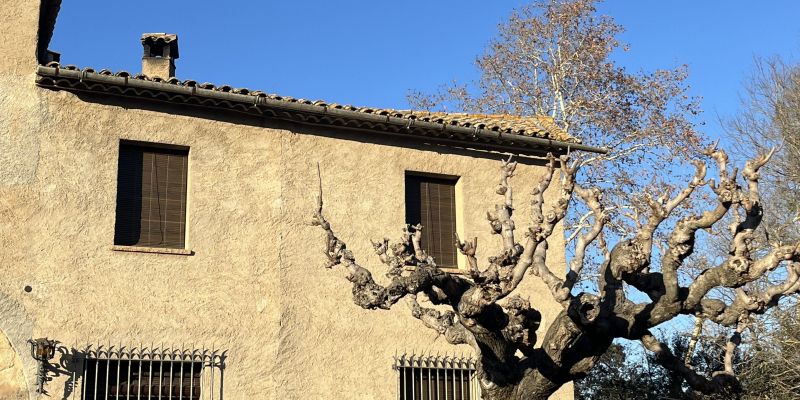 Enric Xercavins va néixer a l'habitació on es troba la finestra de la dreta. Foto: Pablo Sánchez-Montañés