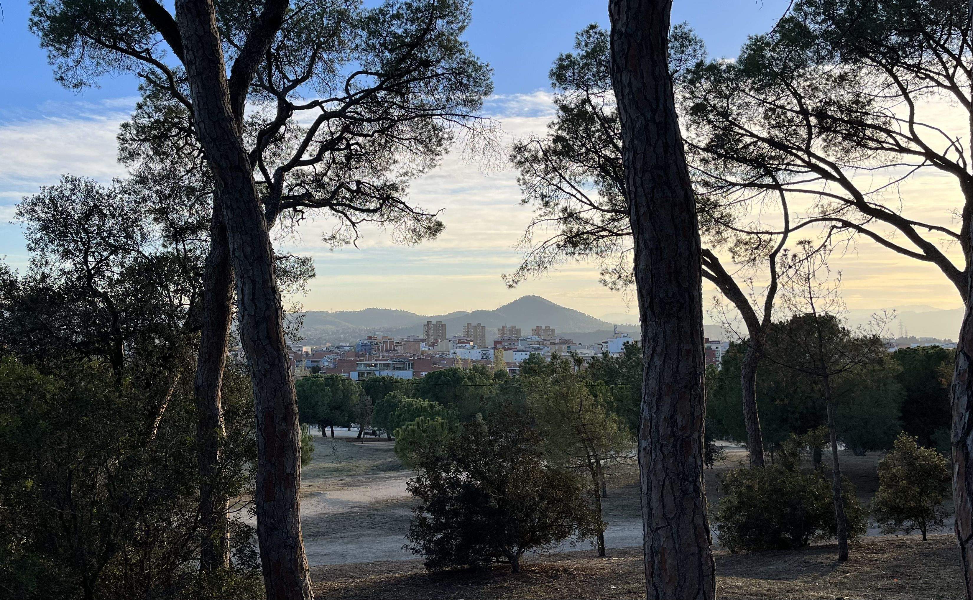 La setmana del 4 al 10 de març ha vingut amb una gran varietat de novetats per a la ciutat de Rubí. Foto: P.S.