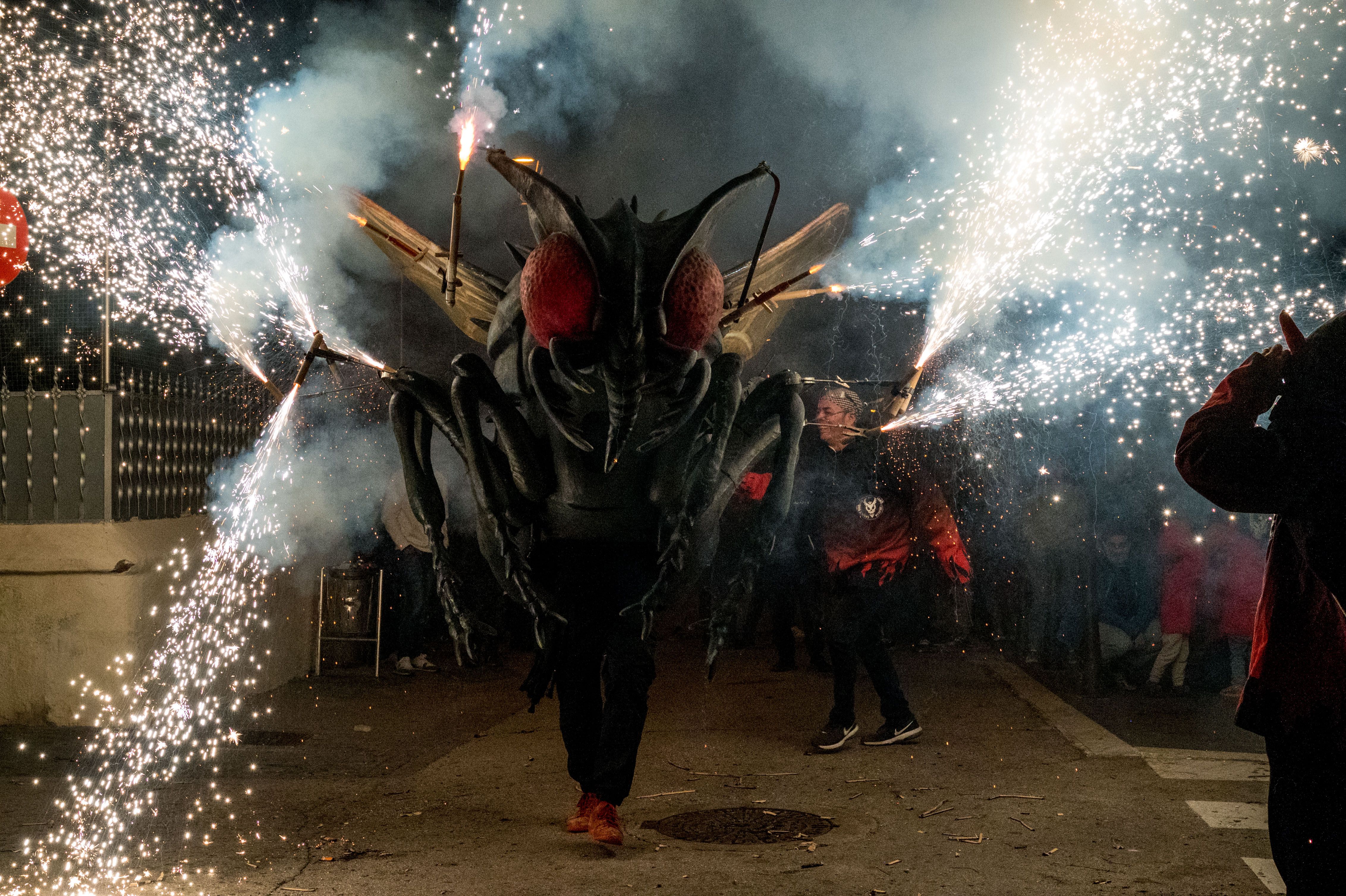 11a Trobada de Bèsties de Foc 2024. FOTO: Carmelo Jiménez