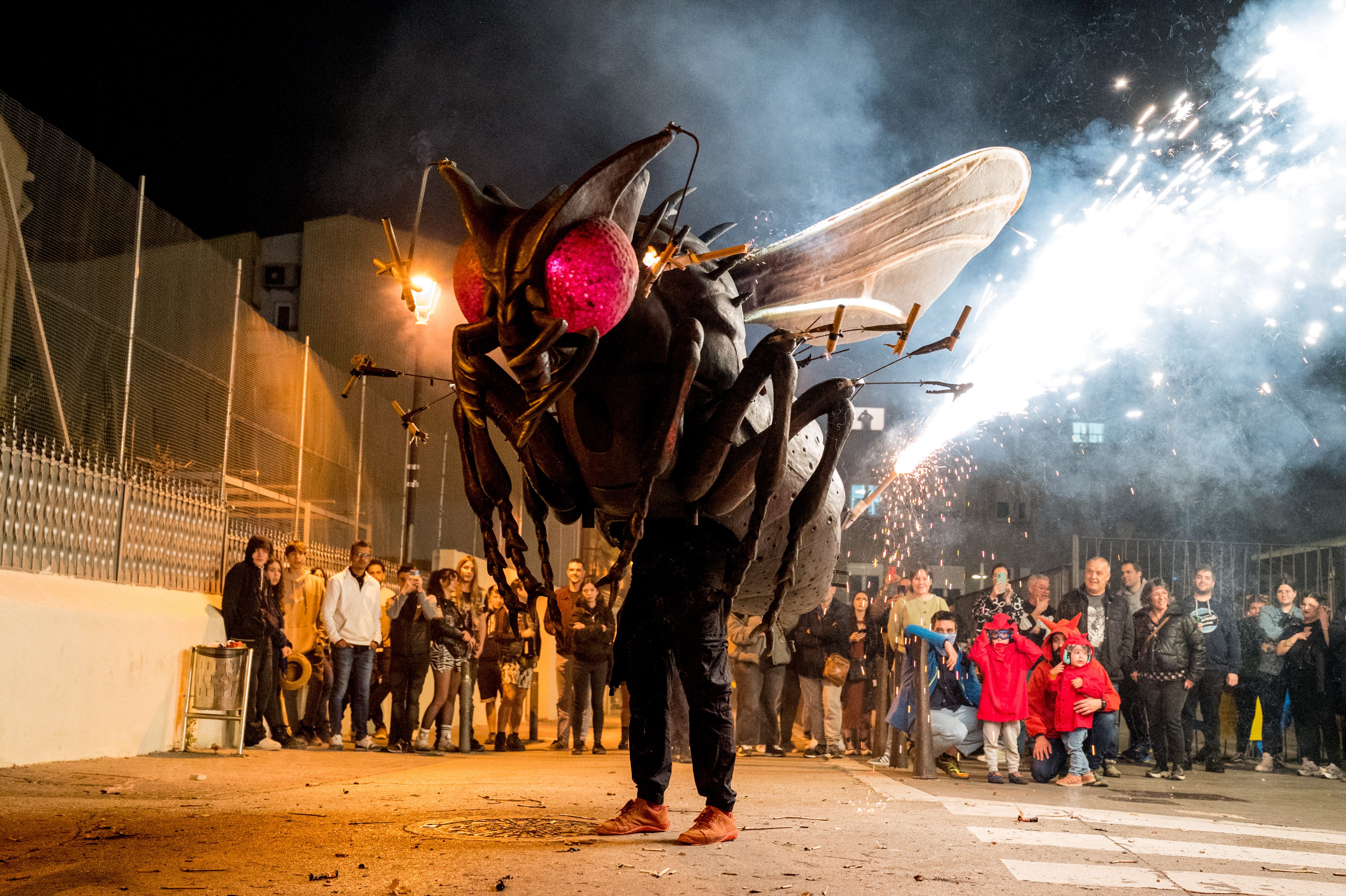 11a Trobada de Bèsties de Foc 2024. FOTO: Carmelo Jiménez