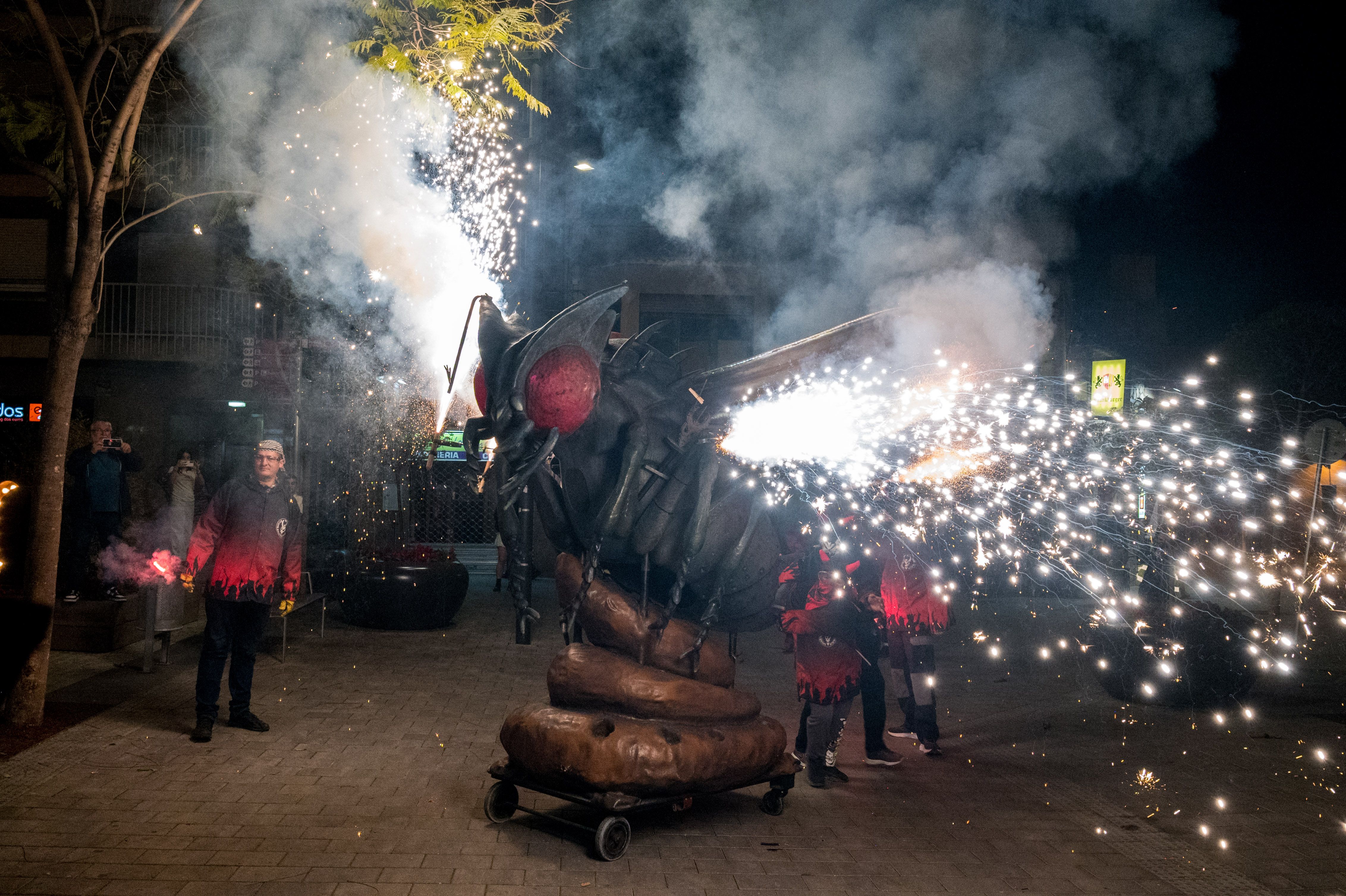 11a Trobada de Bèsties de Foc 2024. FOTO: Carmelo Jiménez