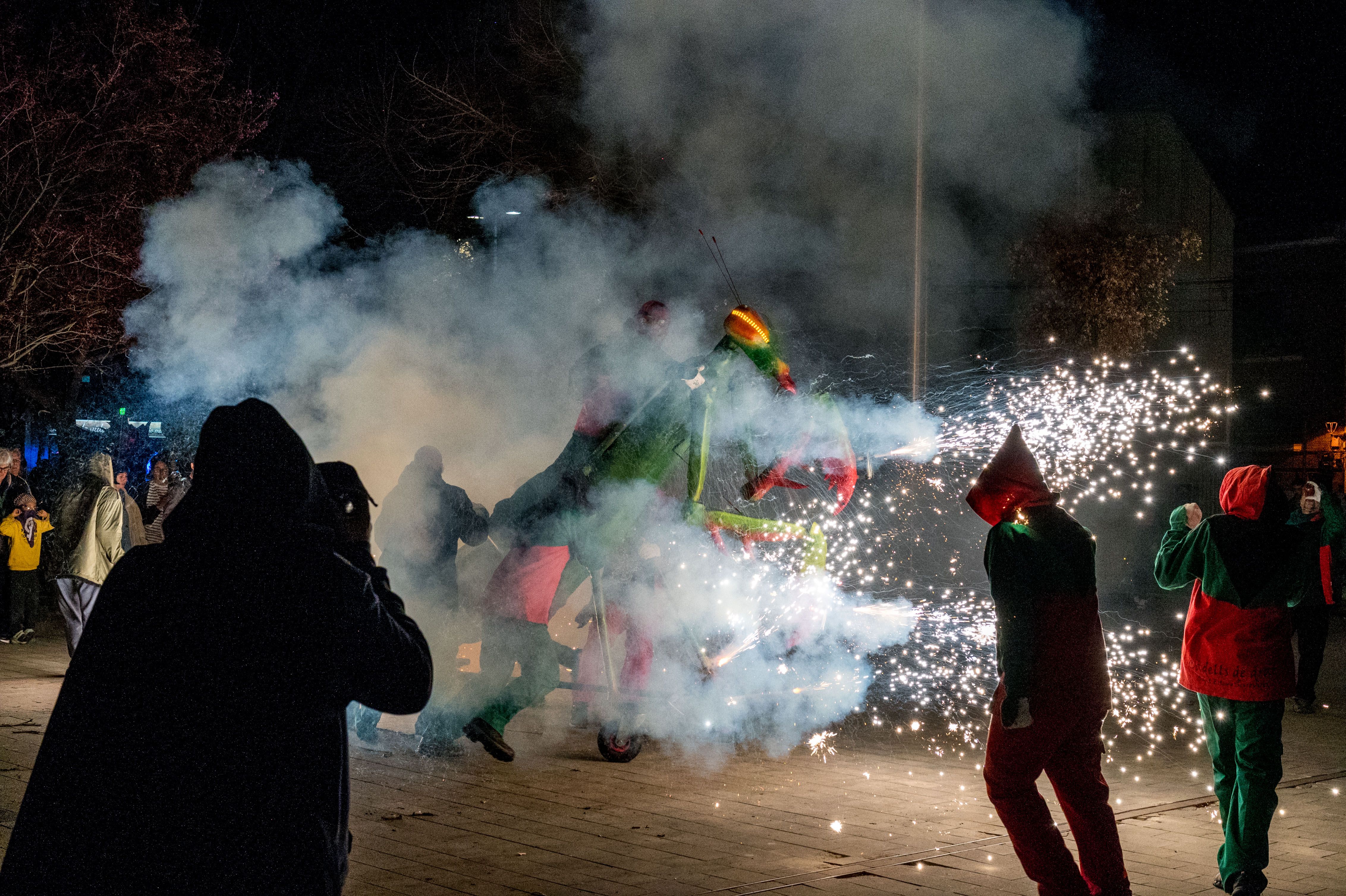 11a Trobada de Bèsties de Foc 2024. FOTO: Carmelo Jiménez