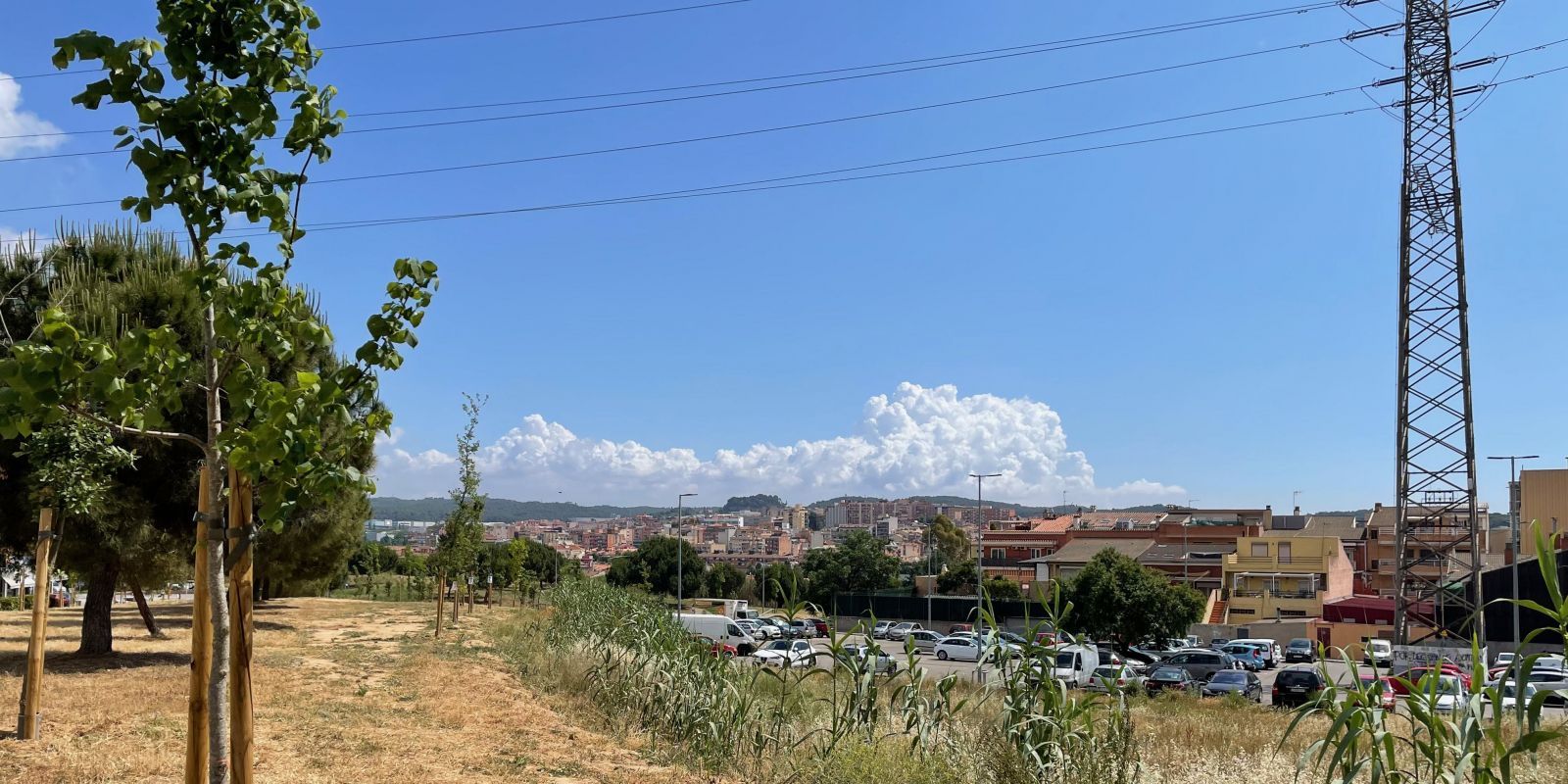 Et portem les notícies més destacades dels darrers dies a la ciutat. Foto: Arxiu | NHS
