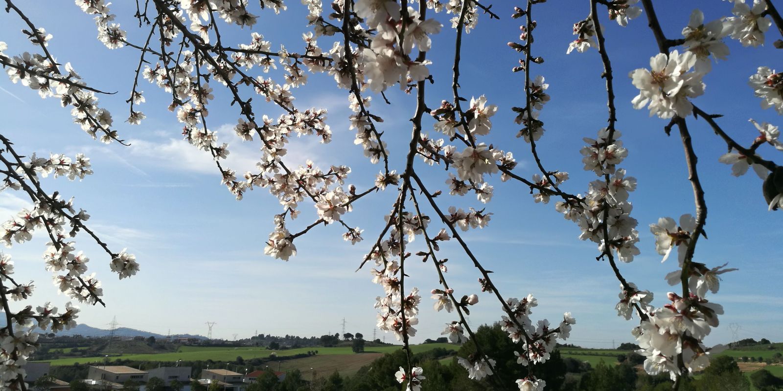 El dimarts ja començarà a haver-hi la tendència a l'alça de les temperatures. Foto: Arxiu | Redacció
