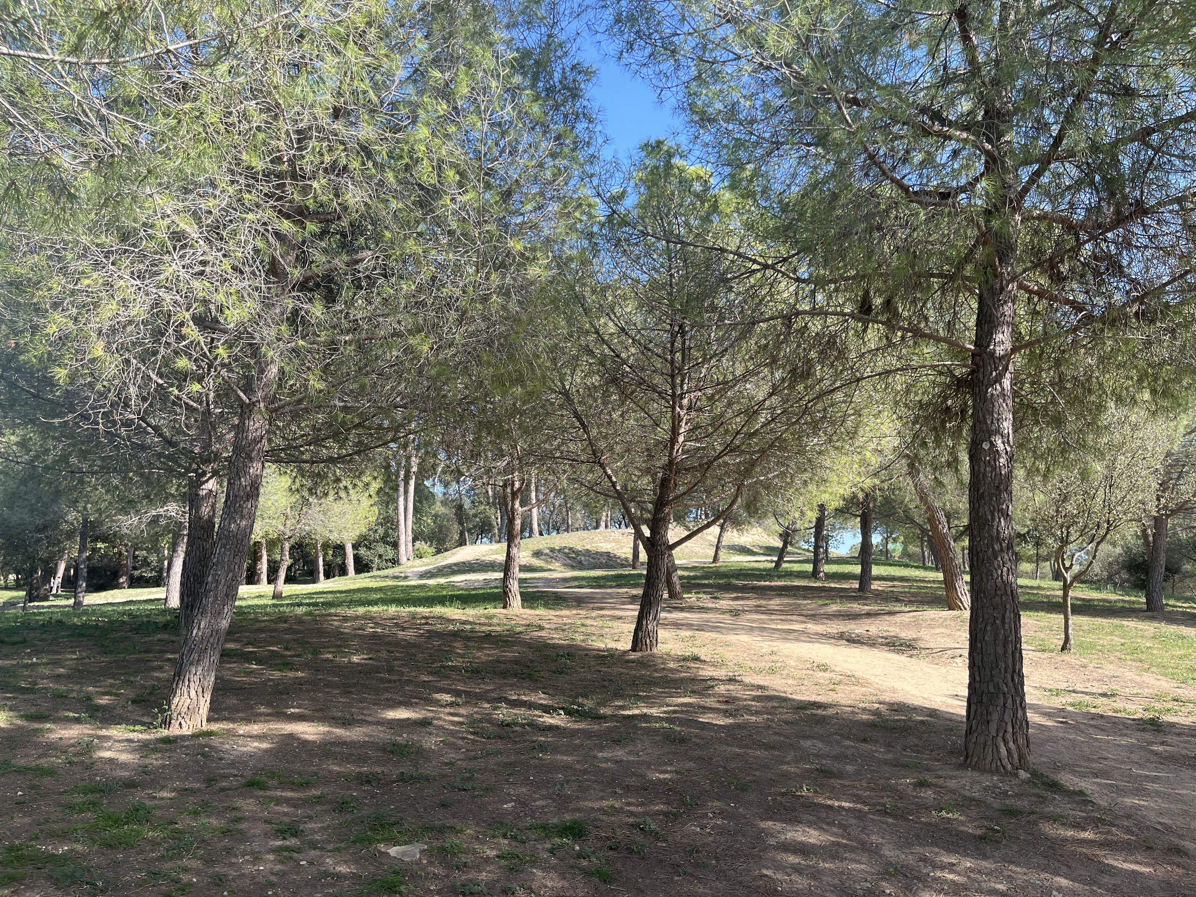 El Parc de Ca n'Oriol. Foto: Pablo Sánchez-Montañés