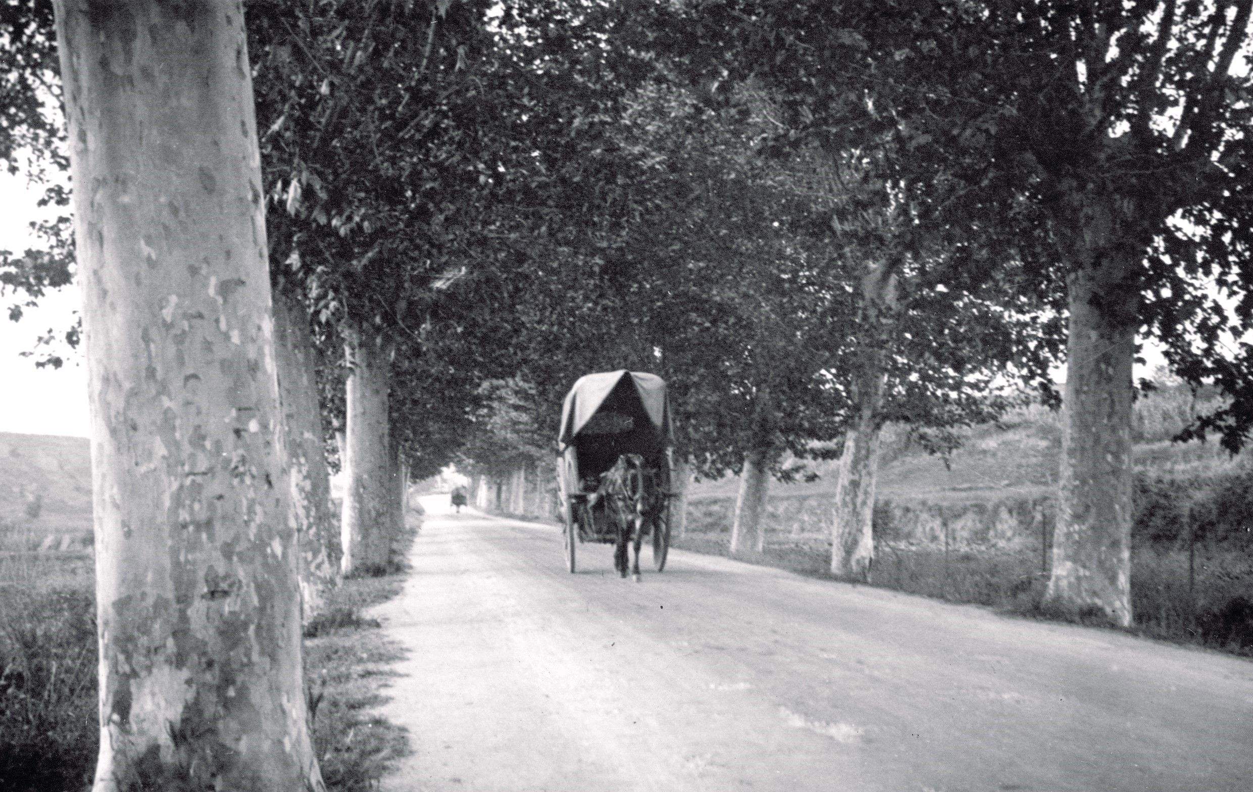 L'antiga carretera al Papiol, 1922. FOTO: Arxiu Fotogràfic del Museu de Rubí