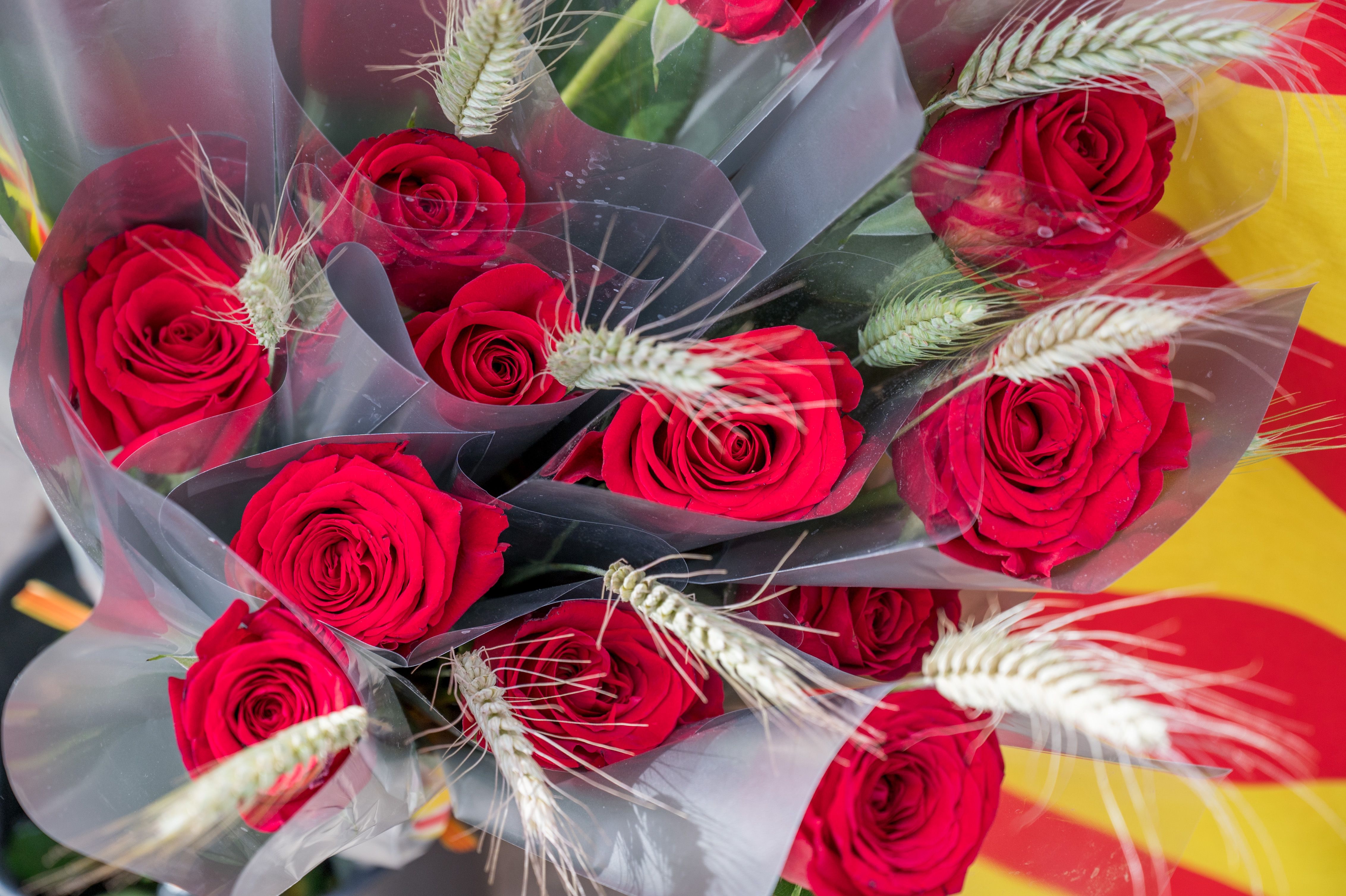 Sant Jordi 2024. FOTO: Carmelo Jiménez