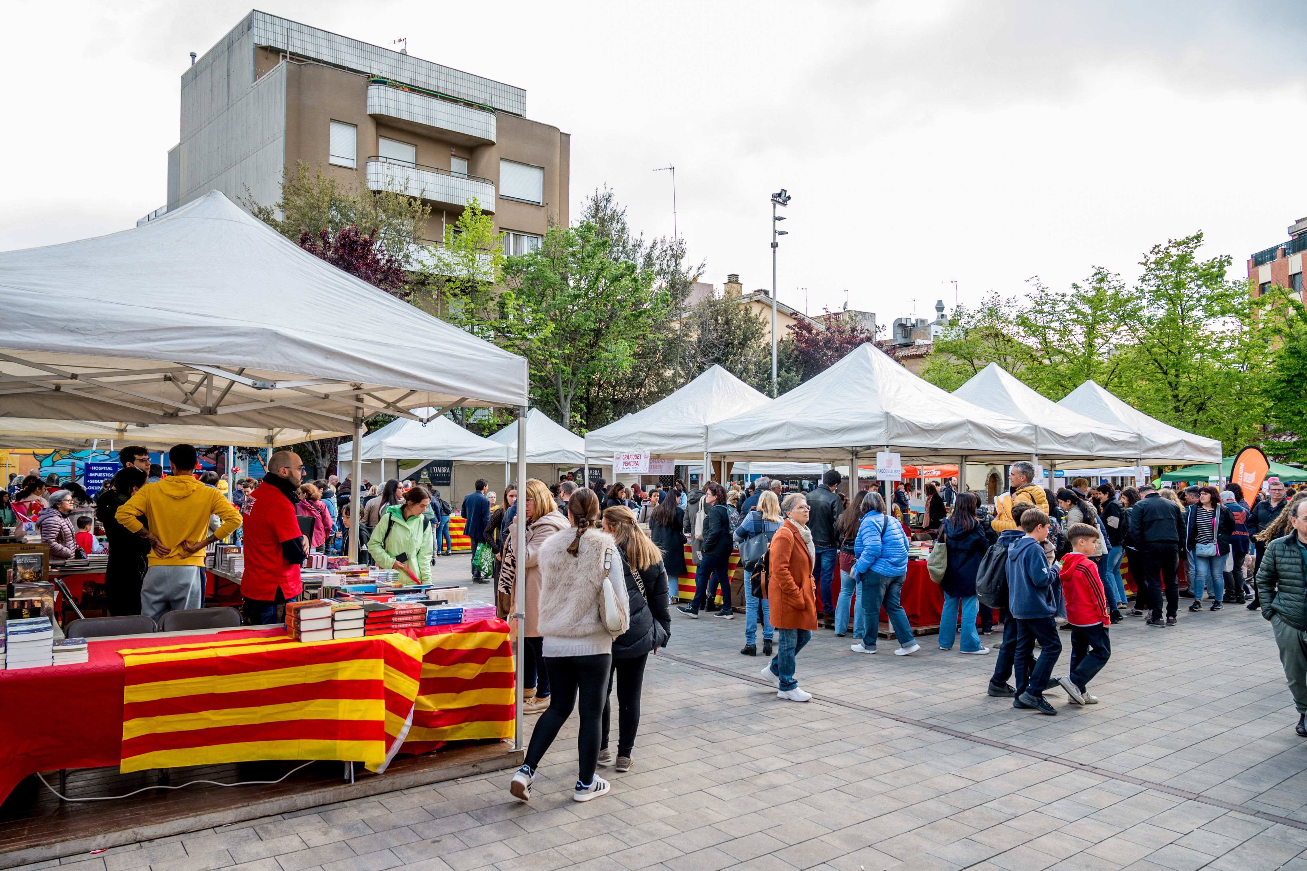 Sant Jordi 2024. FOTO: Carmelo Jiménez