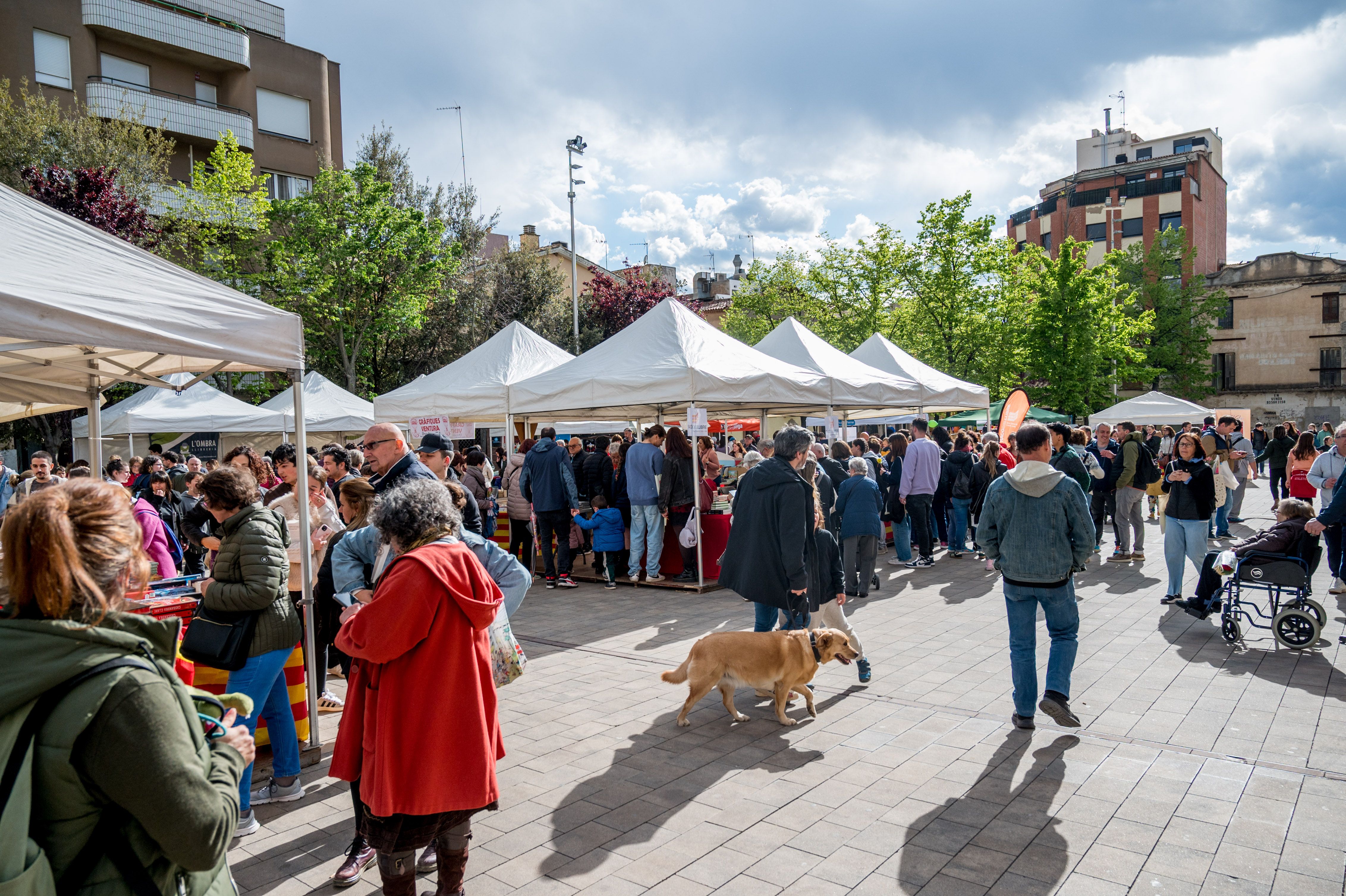 Sant Jordi 2024. FOTO: Carmelo Jiménez