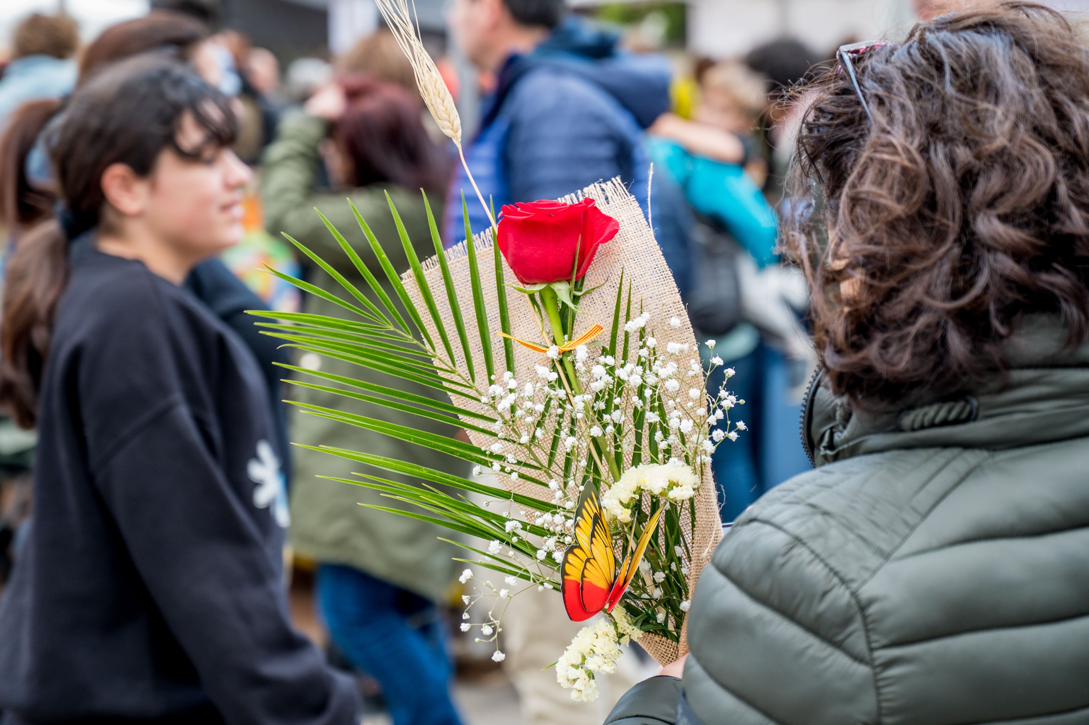 Sant Jordi 2024. FOTO: Carmelo Jiménez