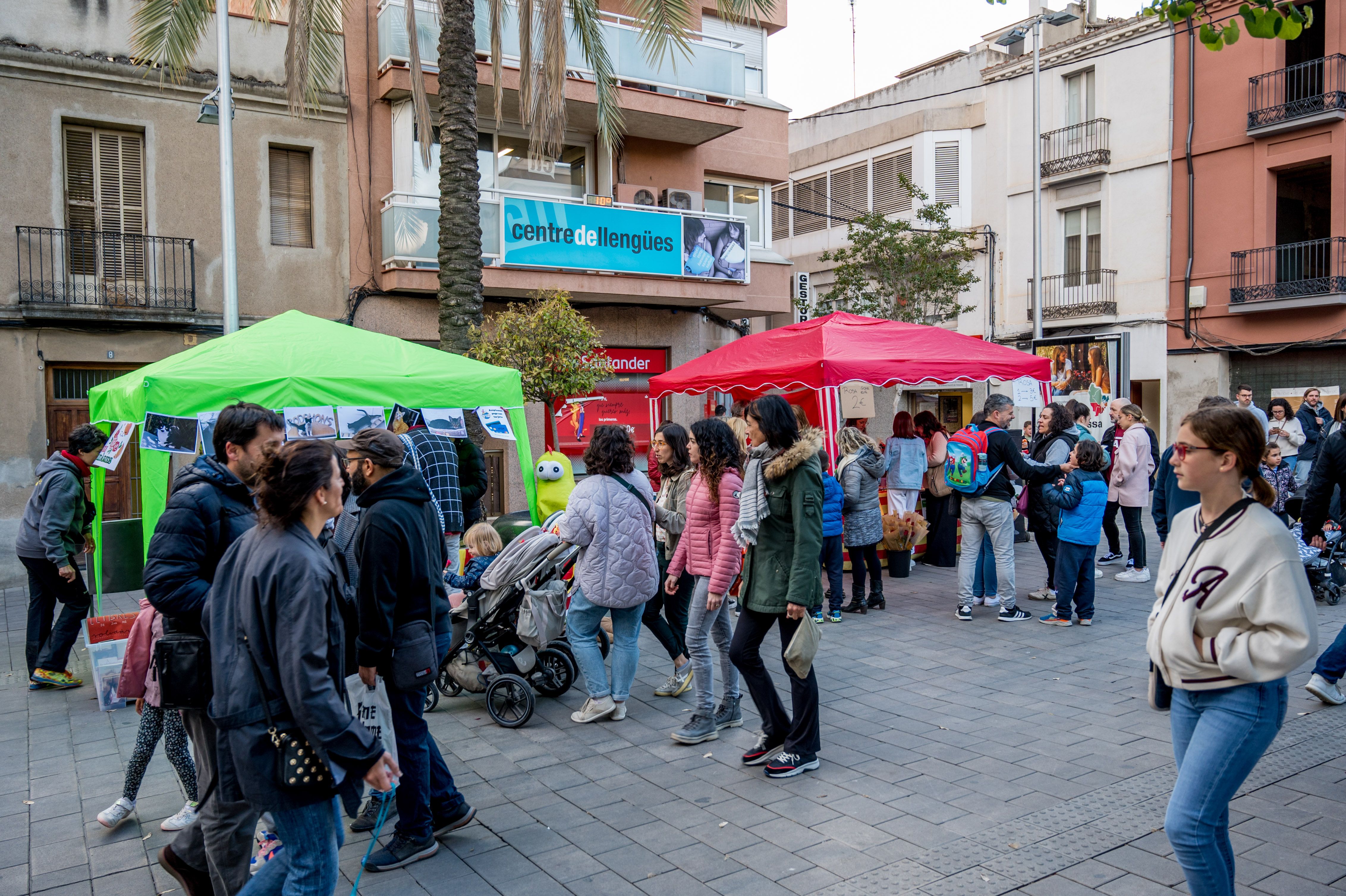 Sant Jordi 2024. FOTO: Carmelo Jiménez